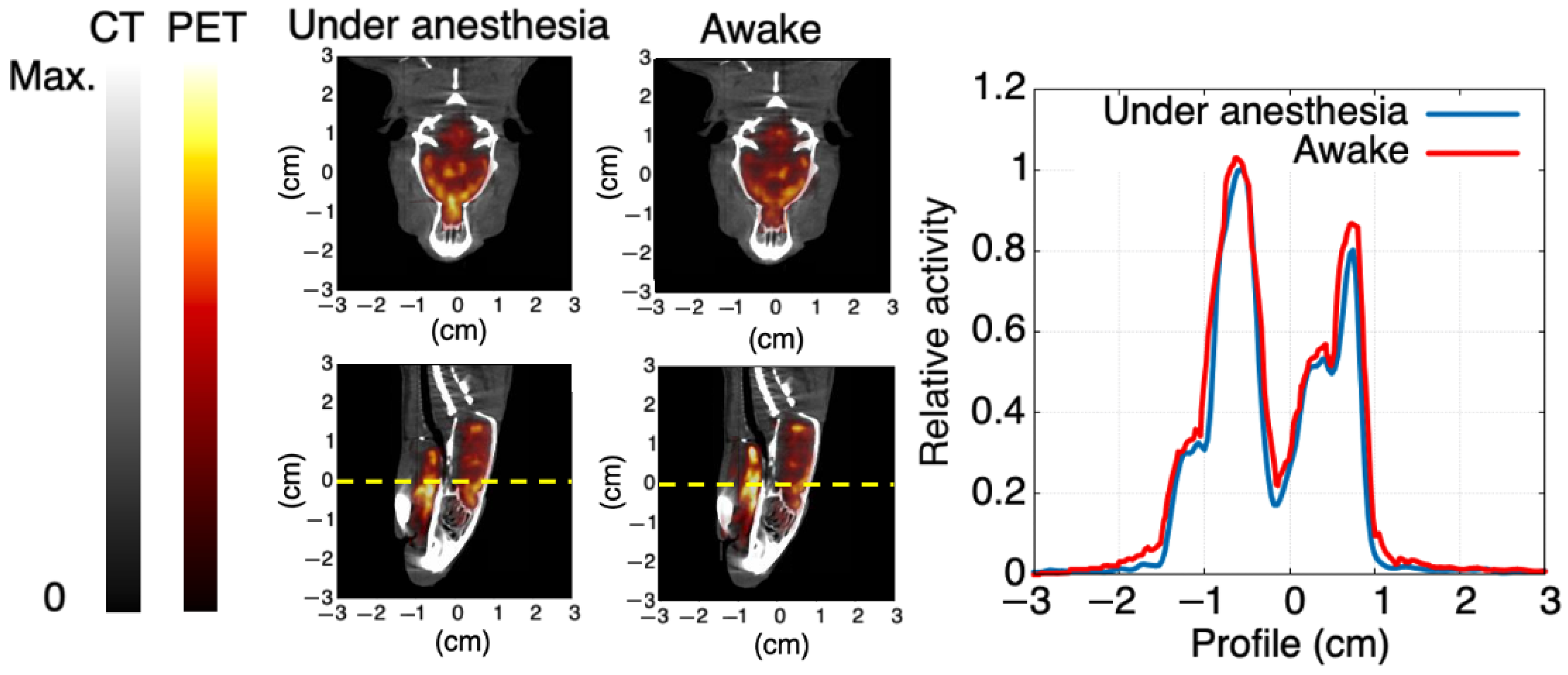 Applsci 13 12329 g010