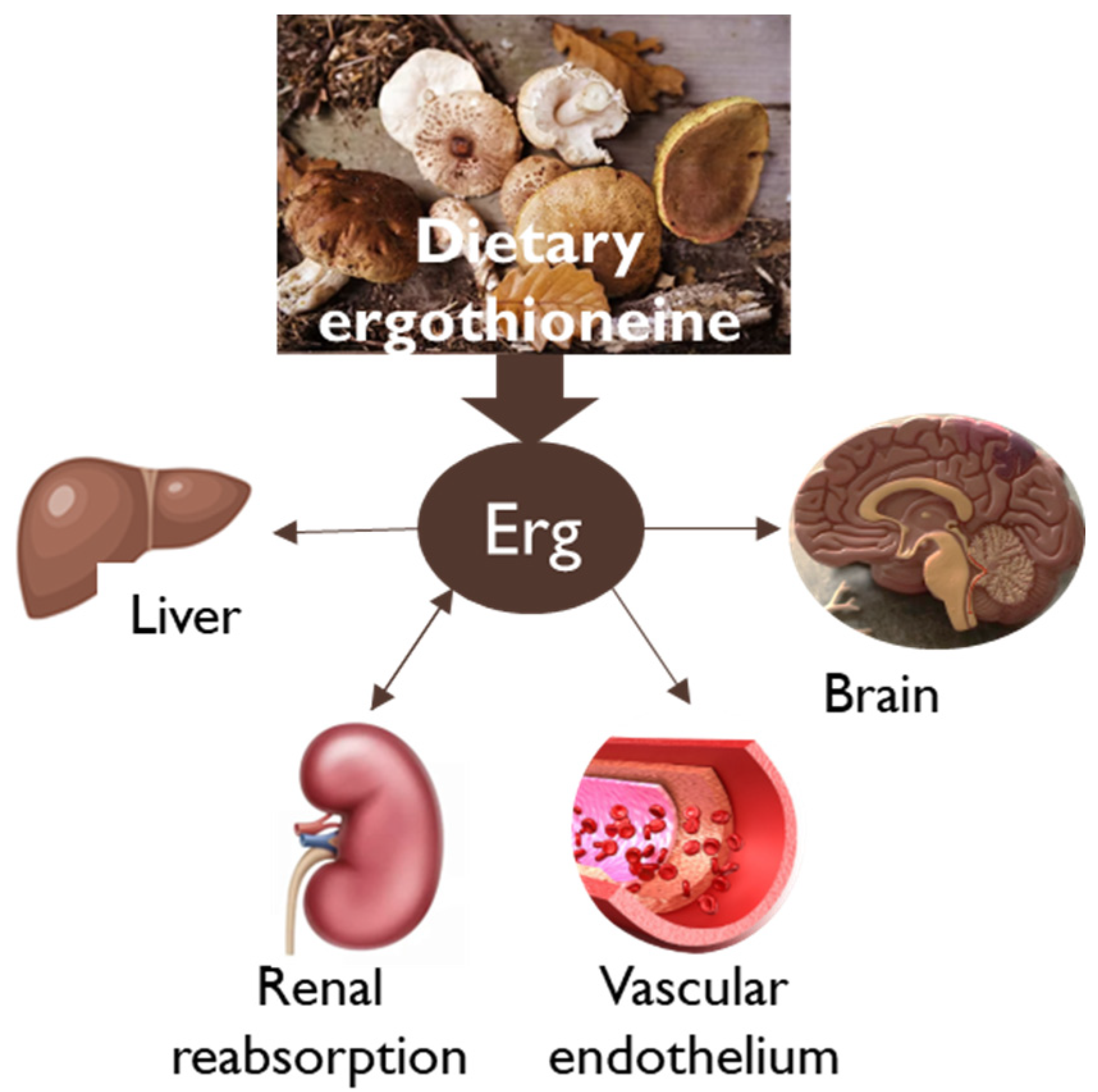 Applsci 13 12348 g001