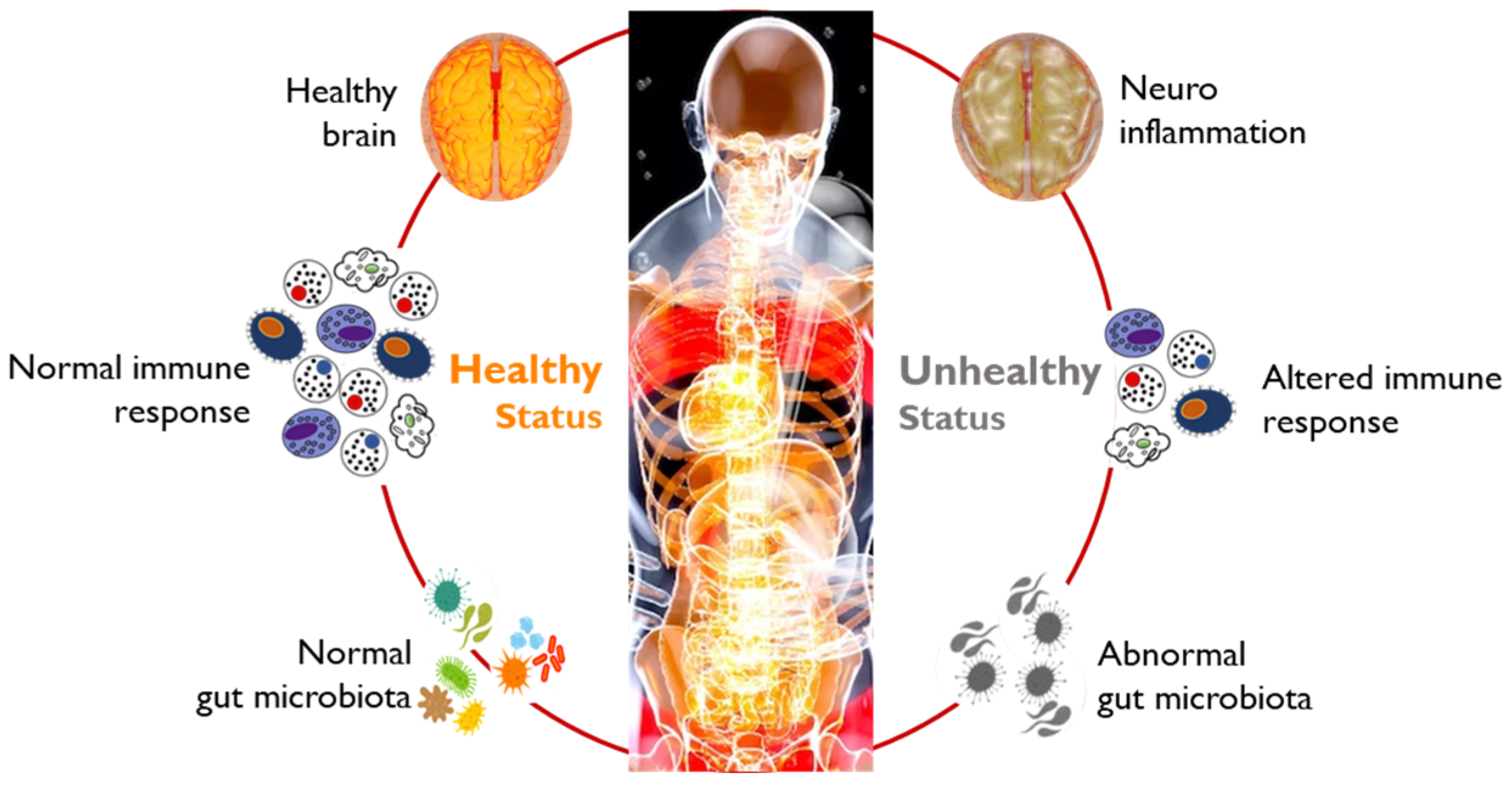 Applsci 13 12348 g003