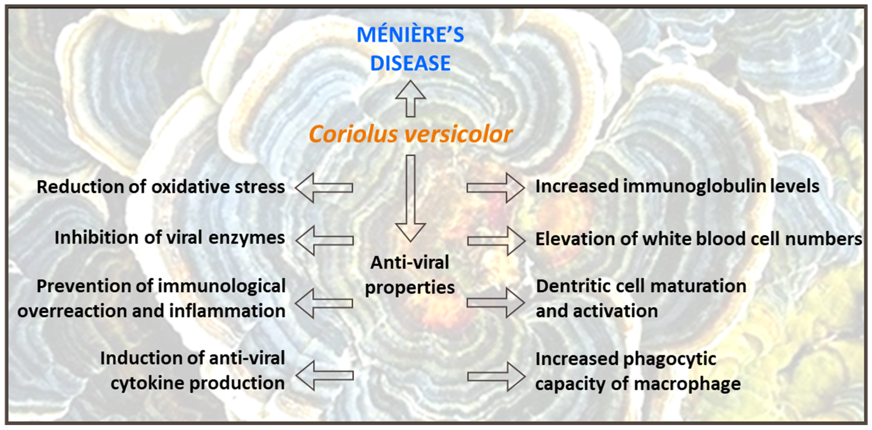 Applsci 13 12348 g004
