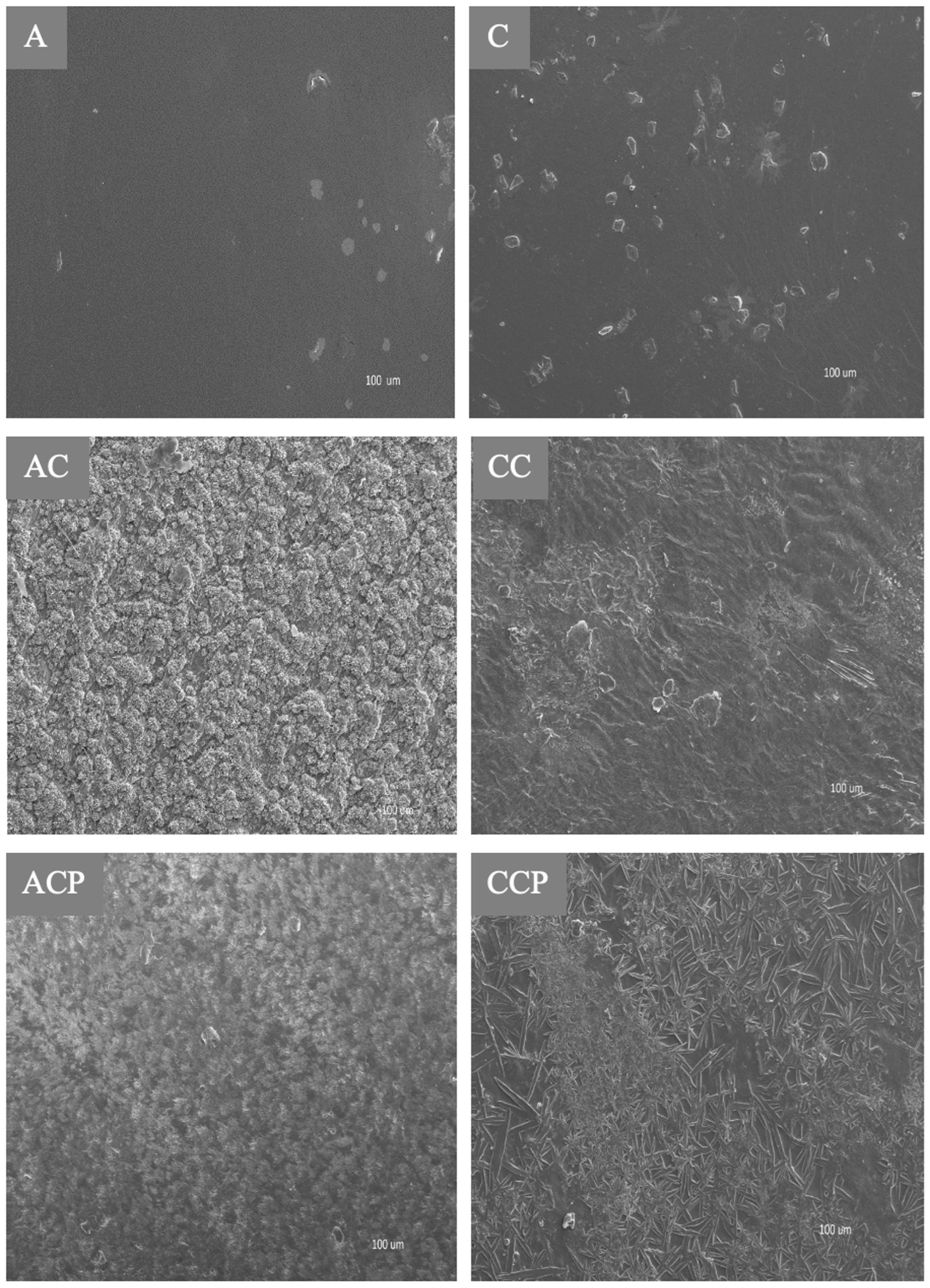 Applsci 13 12351 g003