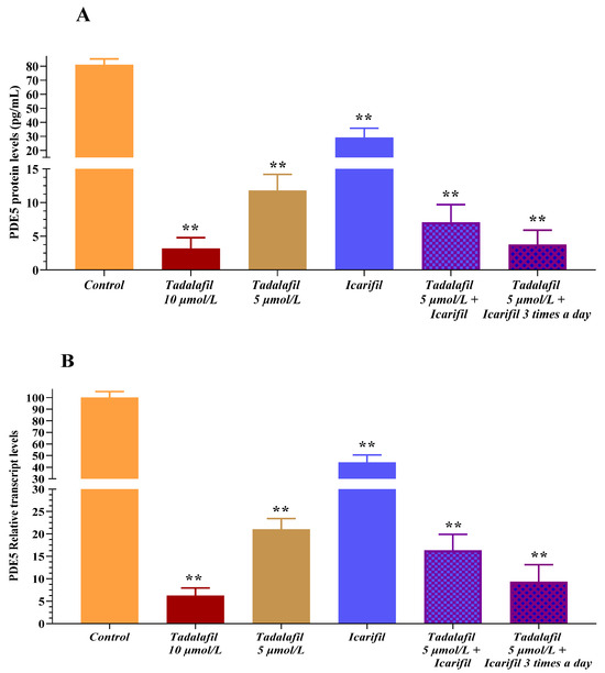 Icarifil, a Natural Mixture Based on L-Citrulline and L-Carnitine as a  Novel Multicomponent Nutraceutical to Modulate ROS and PDE5