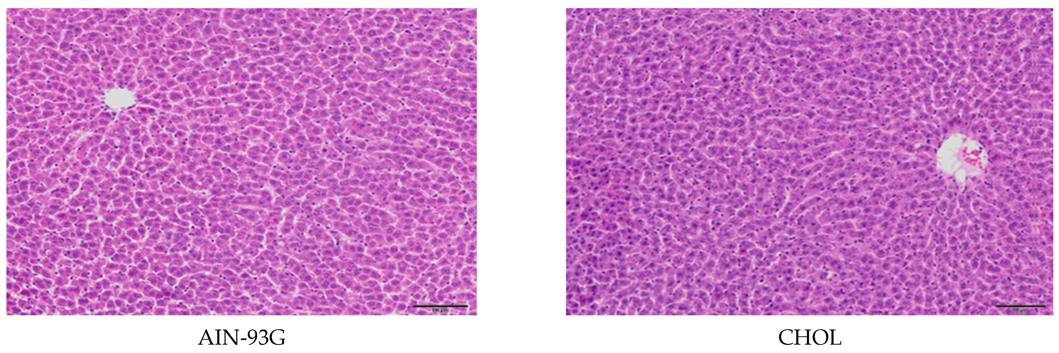 Applsci 13 12364 g001a