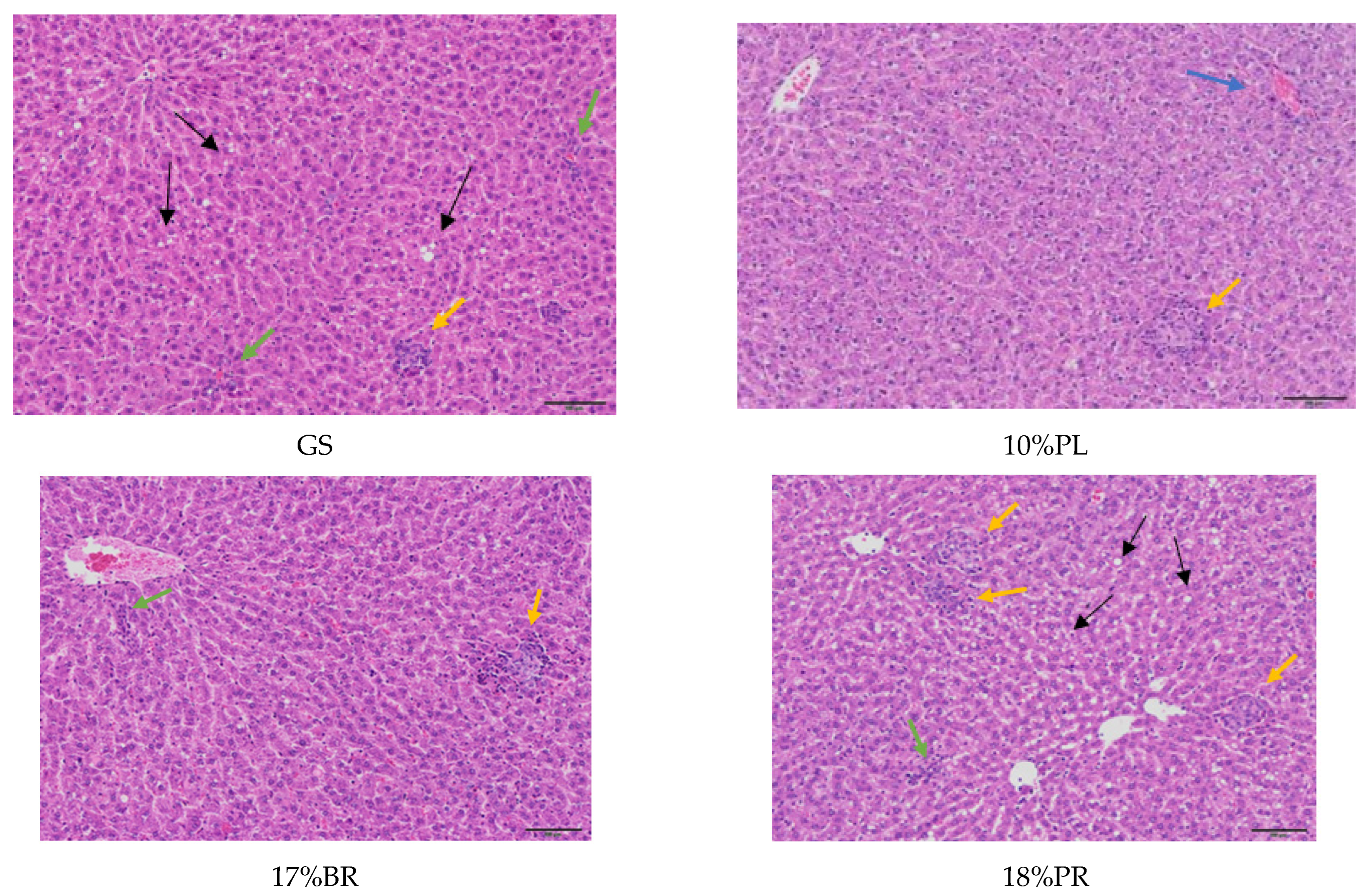 Applsci 13 12364 g001b