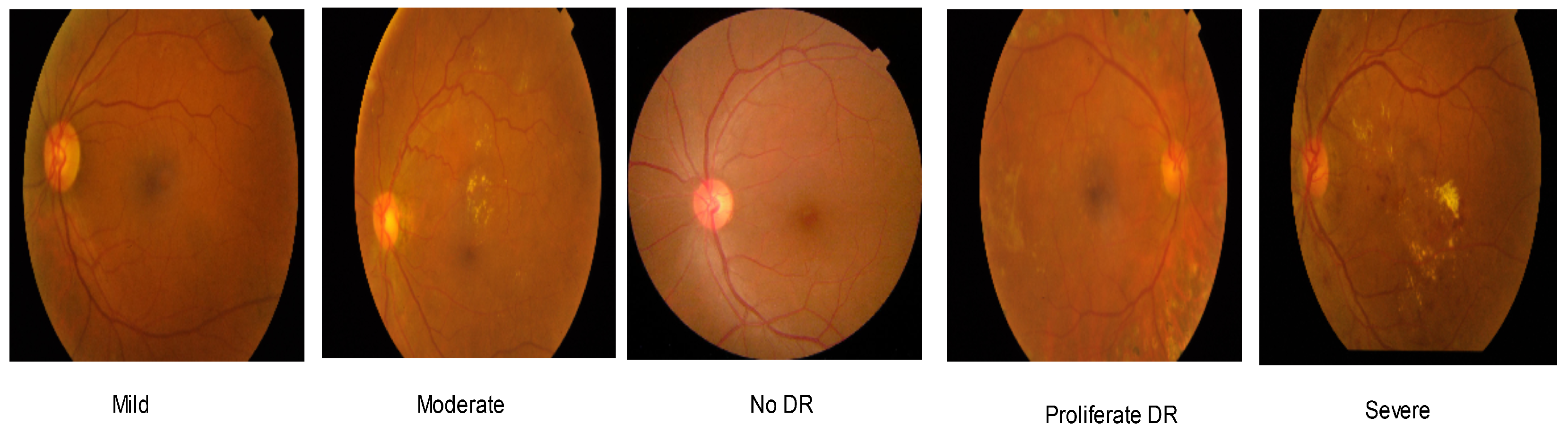 Applsci 13 12397 g002