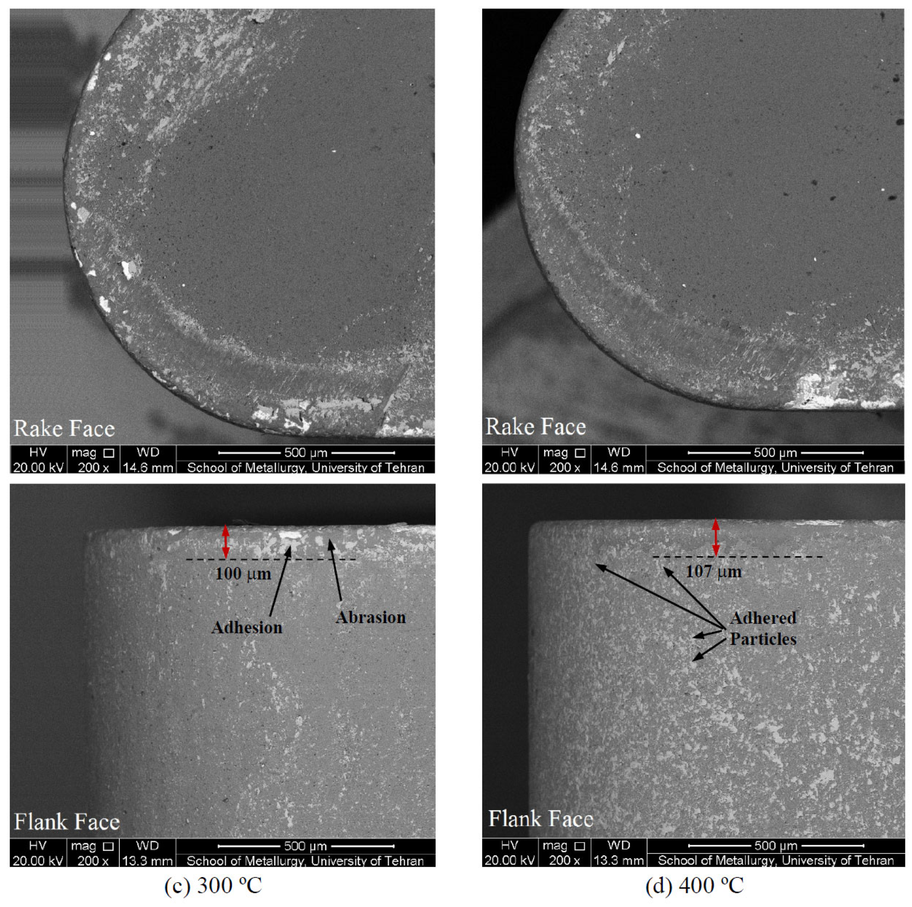 Applsci 13 12405 g003b