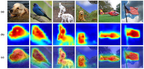 Multi-View Masked Autoencoder for General Image Representation