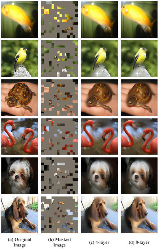 Multi-View Masked Autoencoder for General Image Representation
