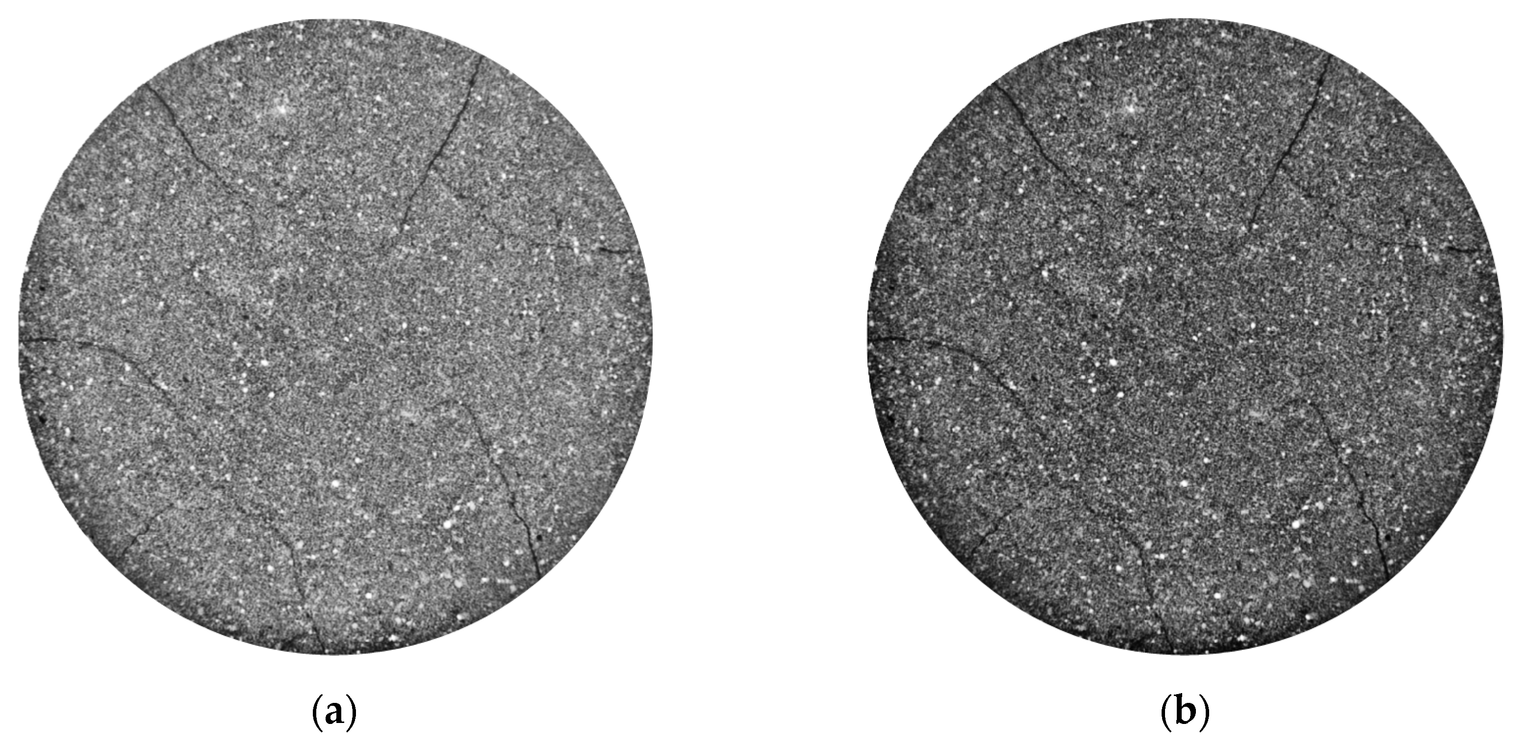 Applsci 13 12424 g008