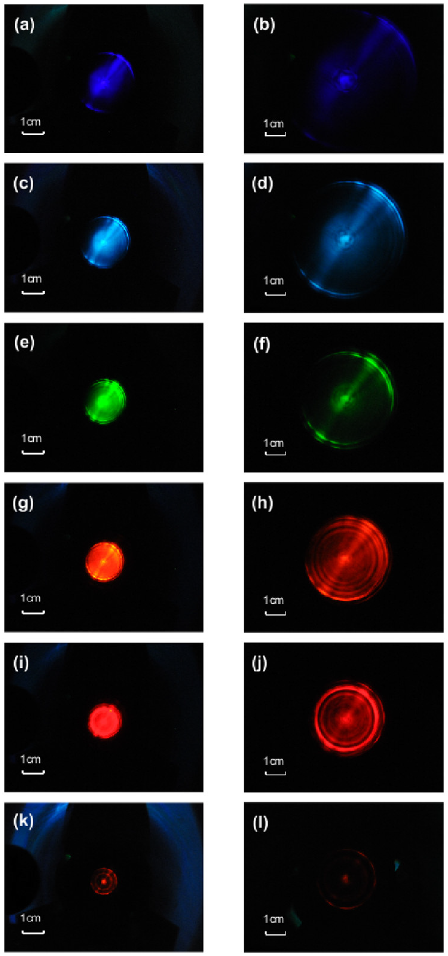 Applsci 13 12435 g004