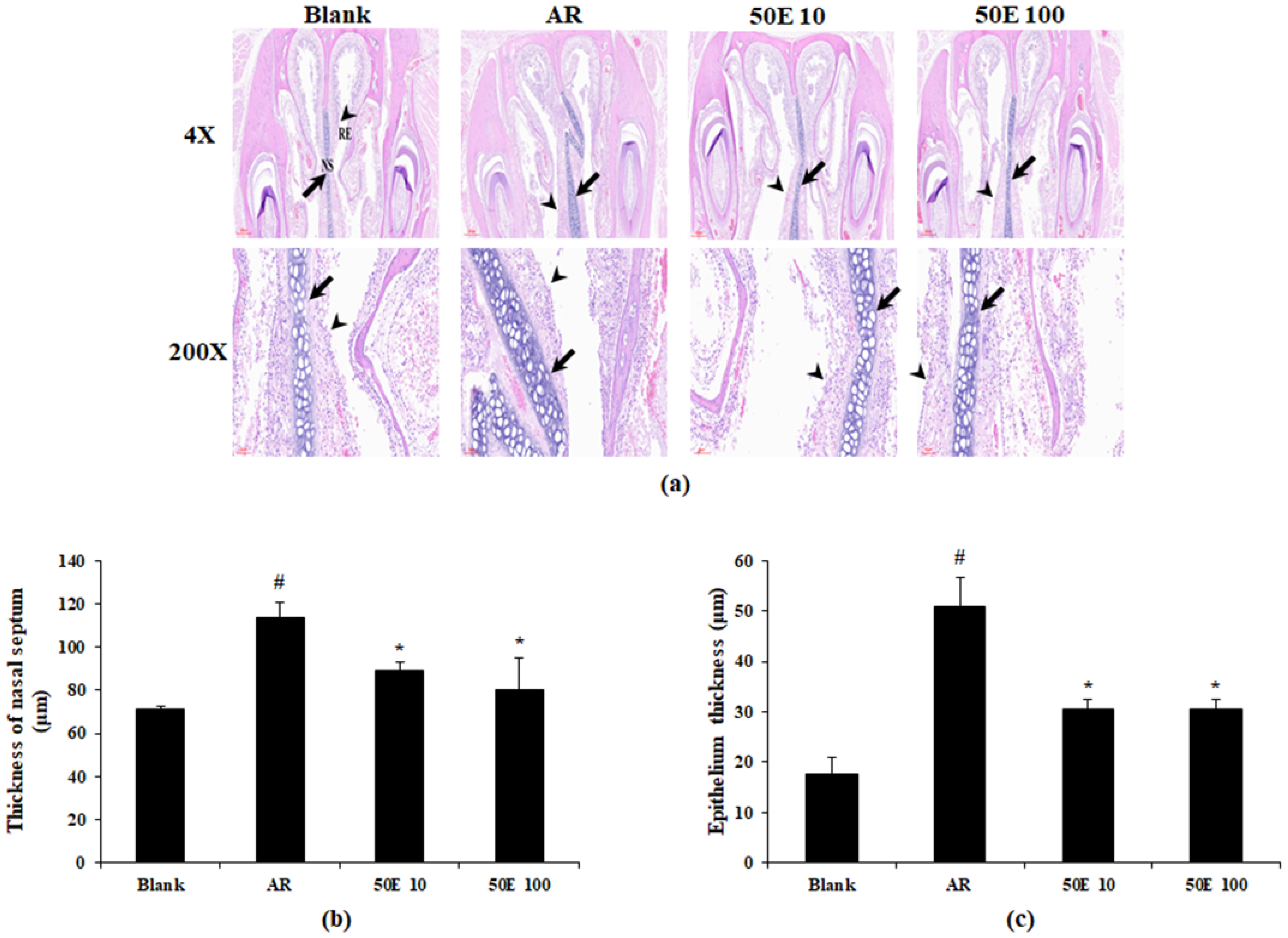Applsci 13 12449 g004 Applsci 13 12449 g004