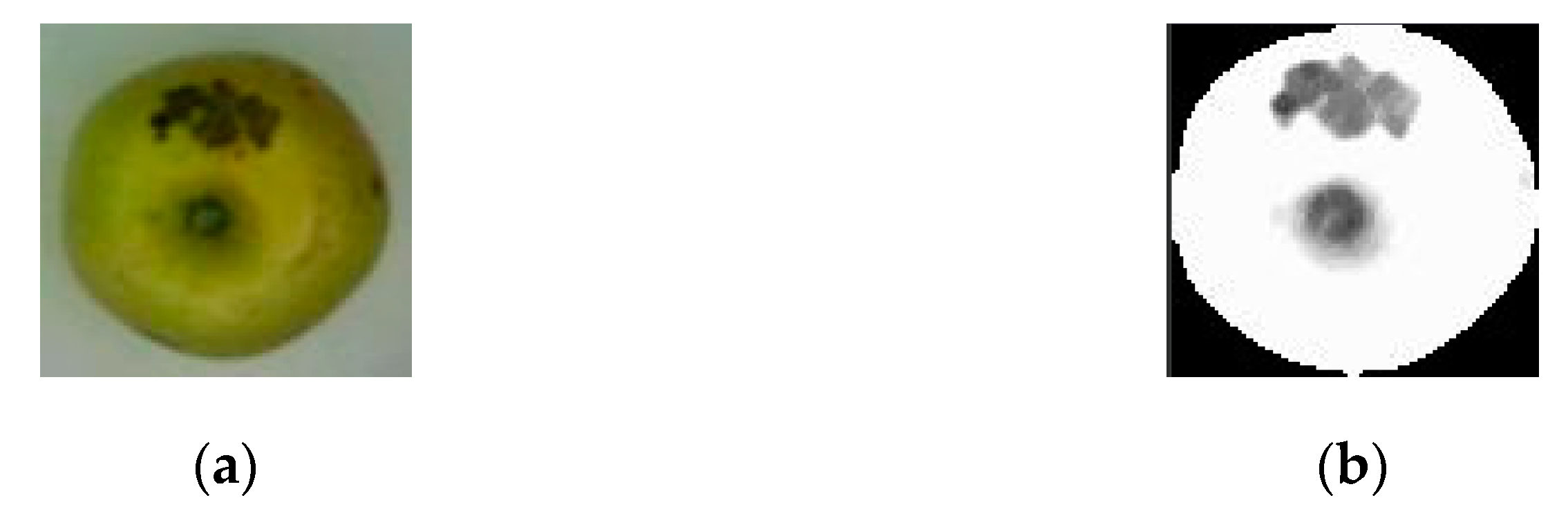 Applsci 13 12481 g006