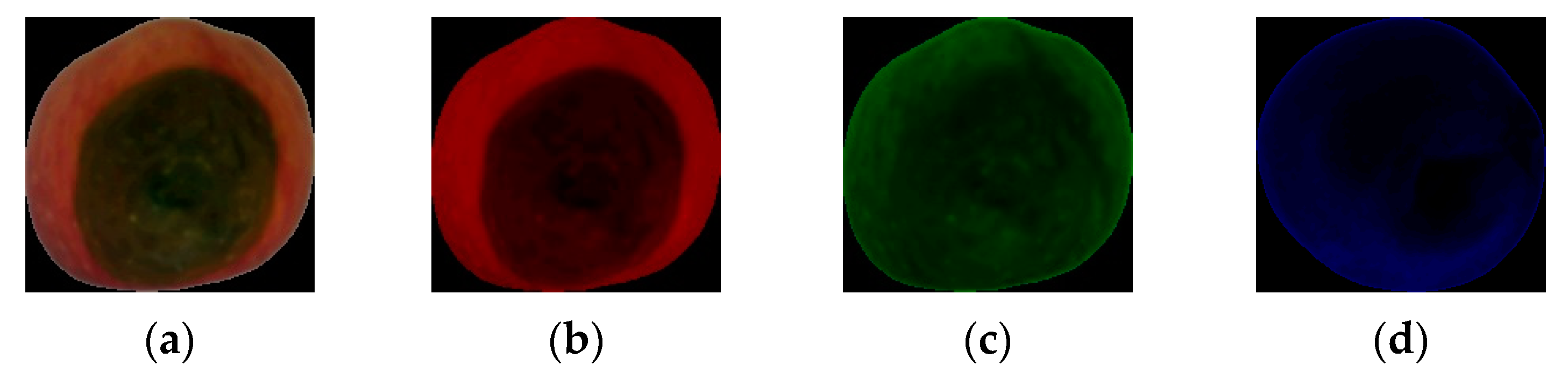 Applsci 13 12481 g008