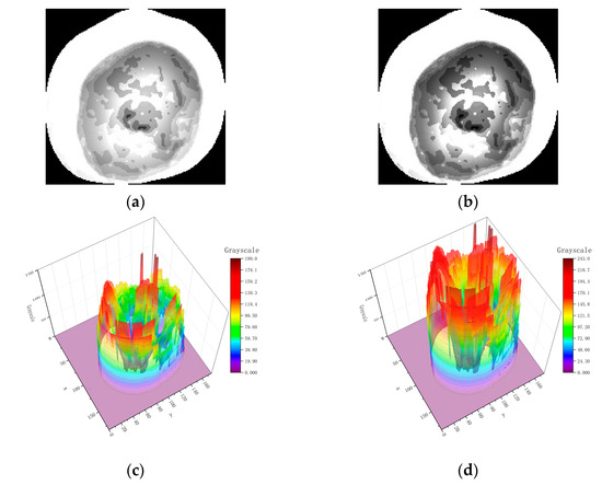ユウ 2015-2025 Yamaha YZF-R1 MT-10 Coolant Water Pump Pipe Tube