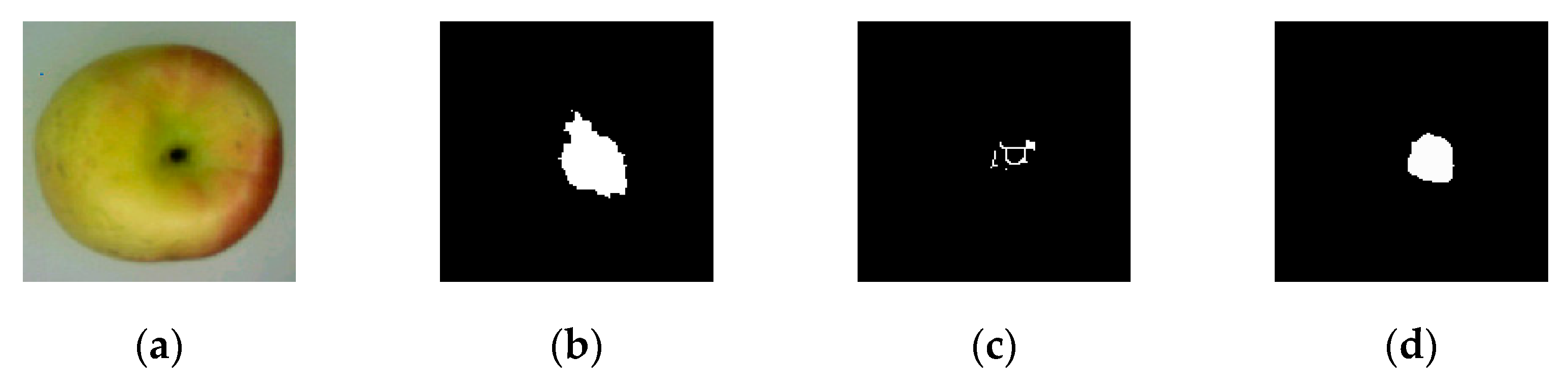 Applsci 13 12481 g011