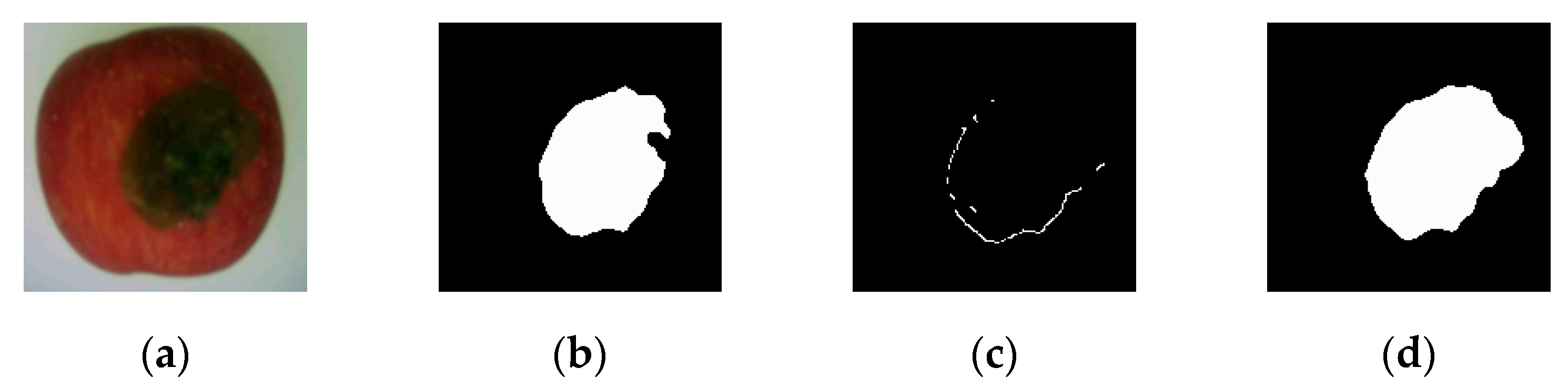 Applsci 13 12481 g013