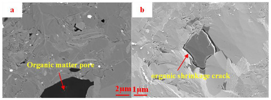 A Study on the Pore Structure and NMR Fractal Characteristics of ...