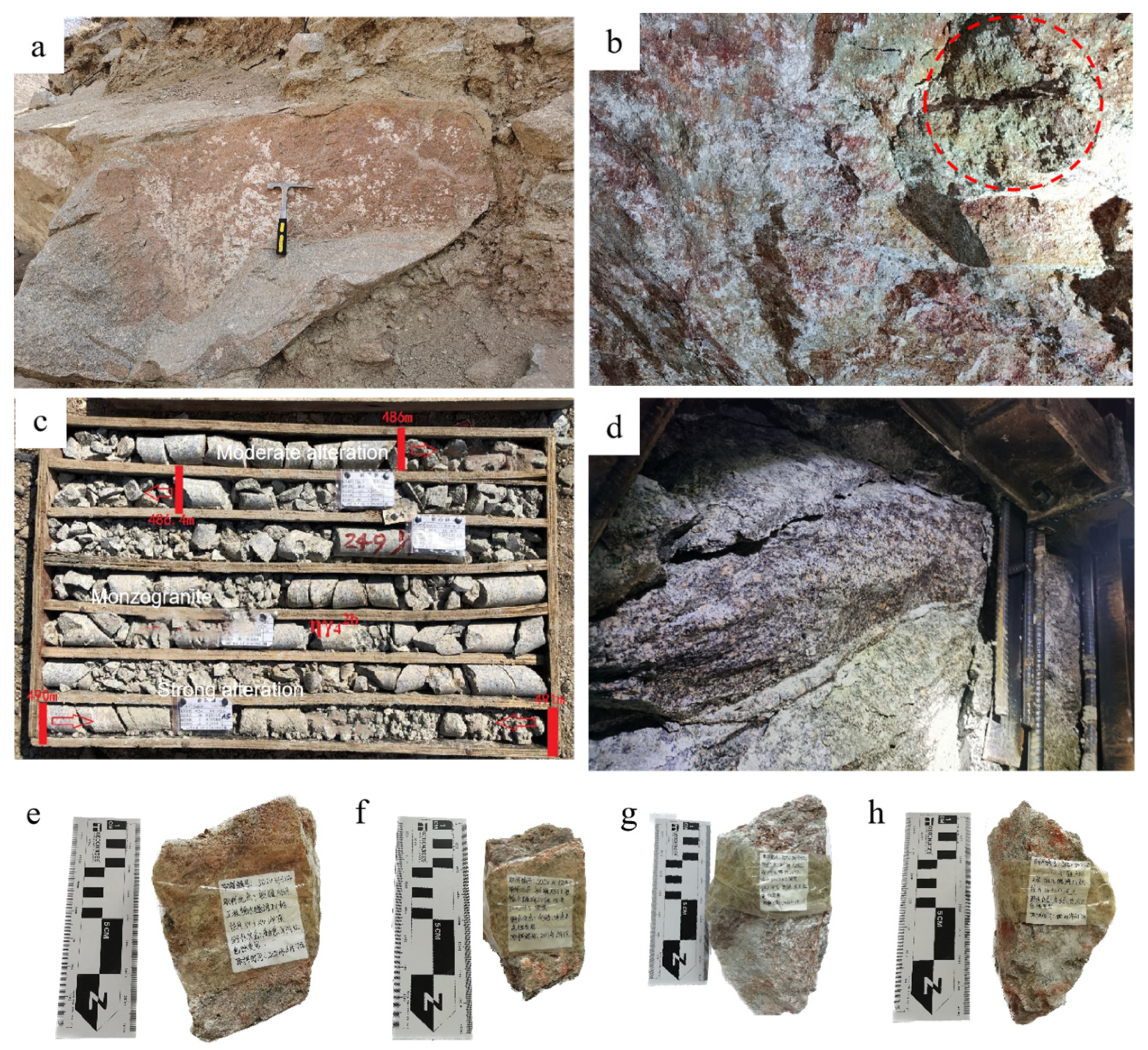 Applsci 13 12486 g002