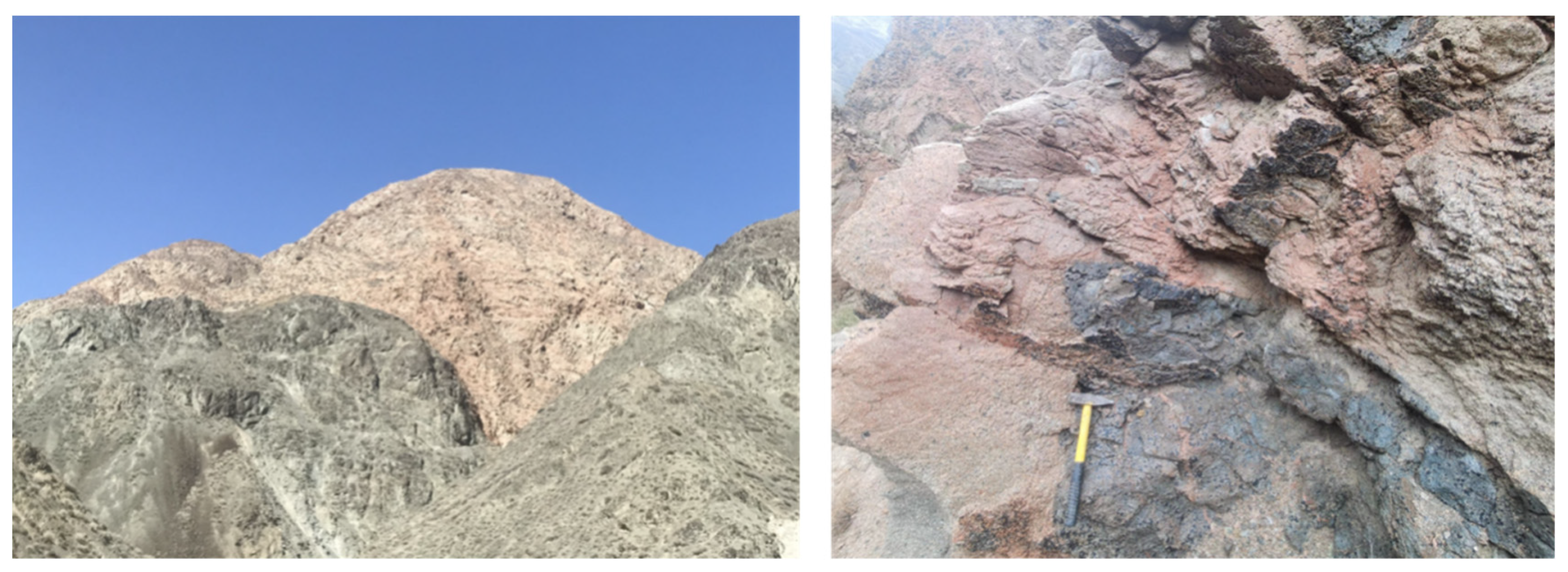 Applsci 13 12486 g005