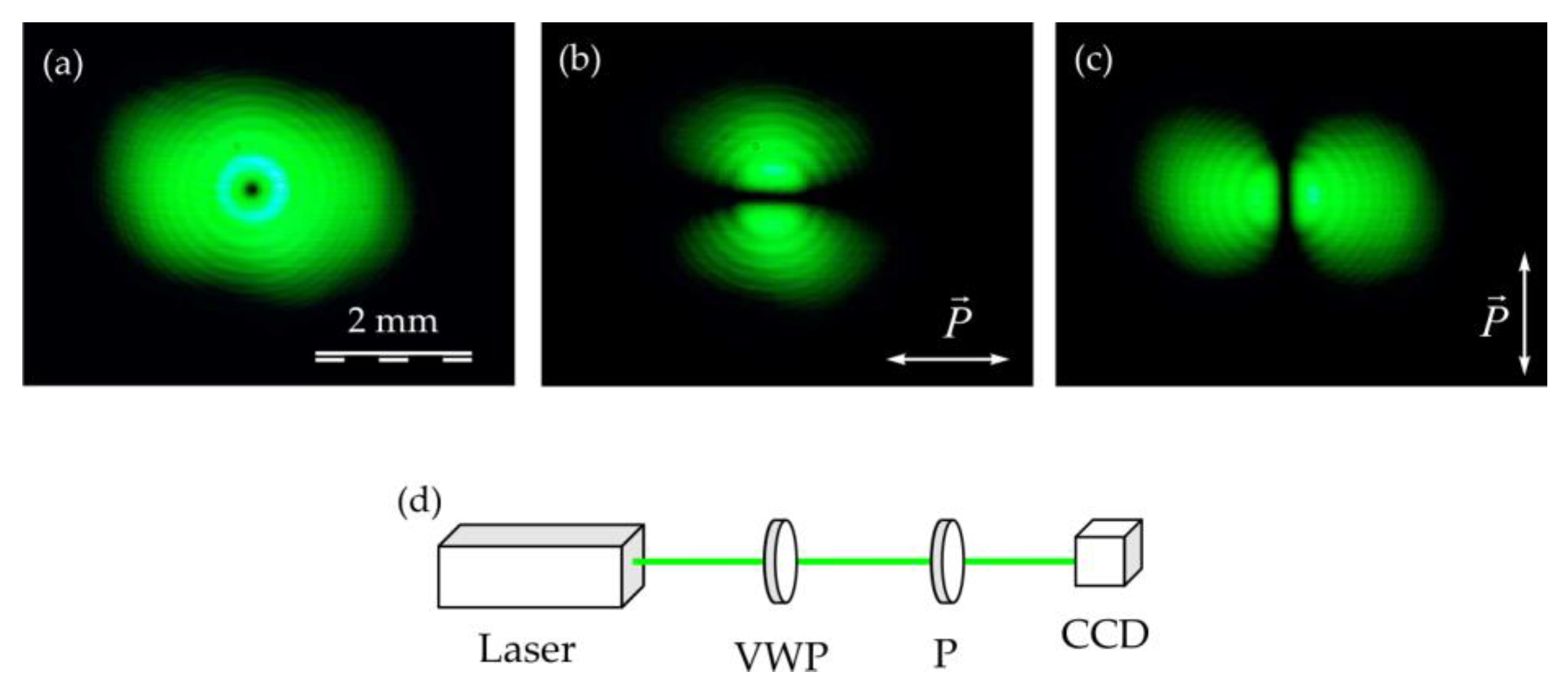 Applsci 13 12519 g004