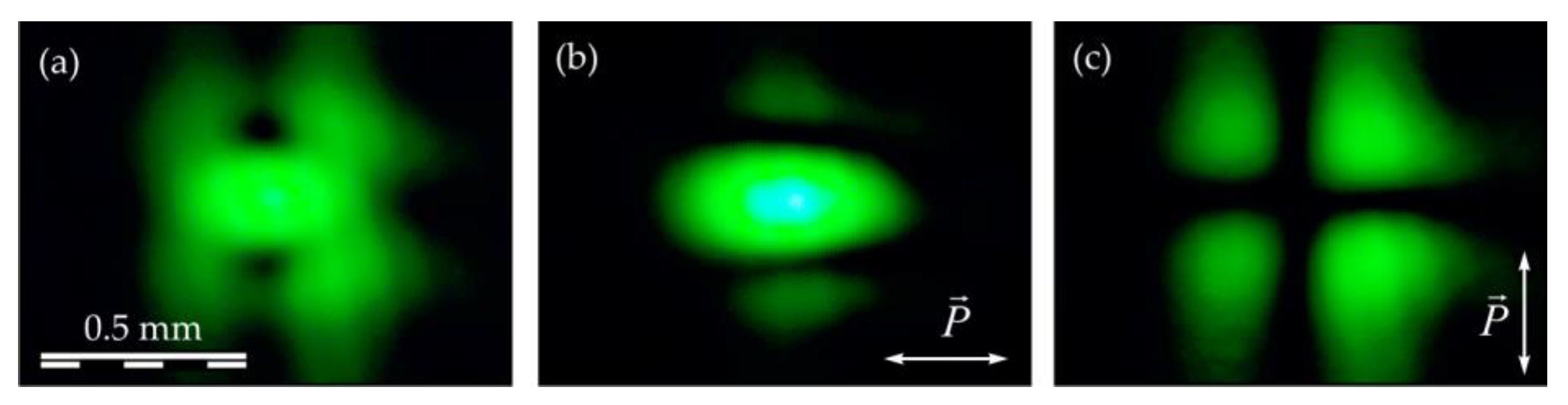 Applsci 13 12519 g007