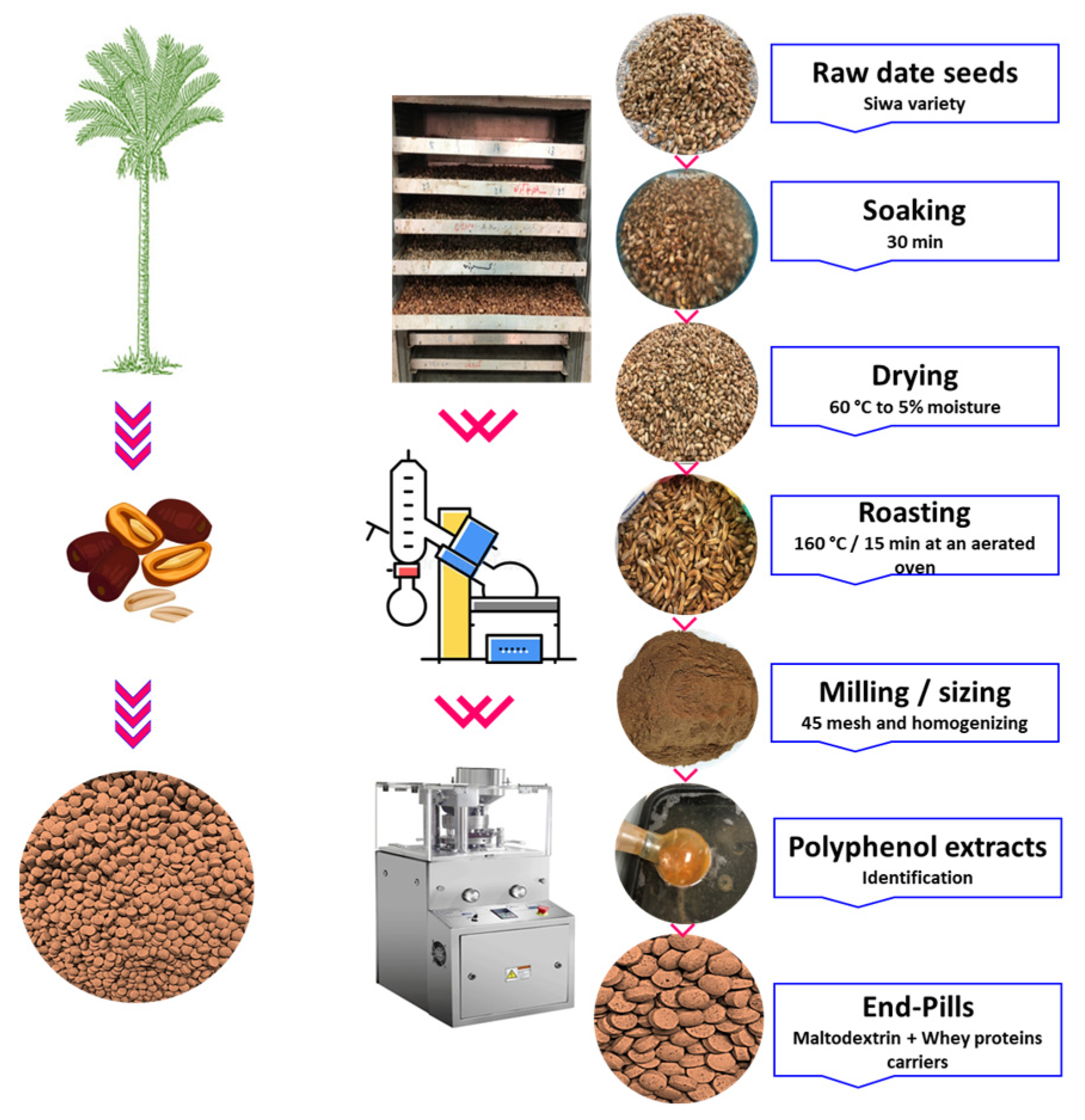 Applsci 13 12533 g001