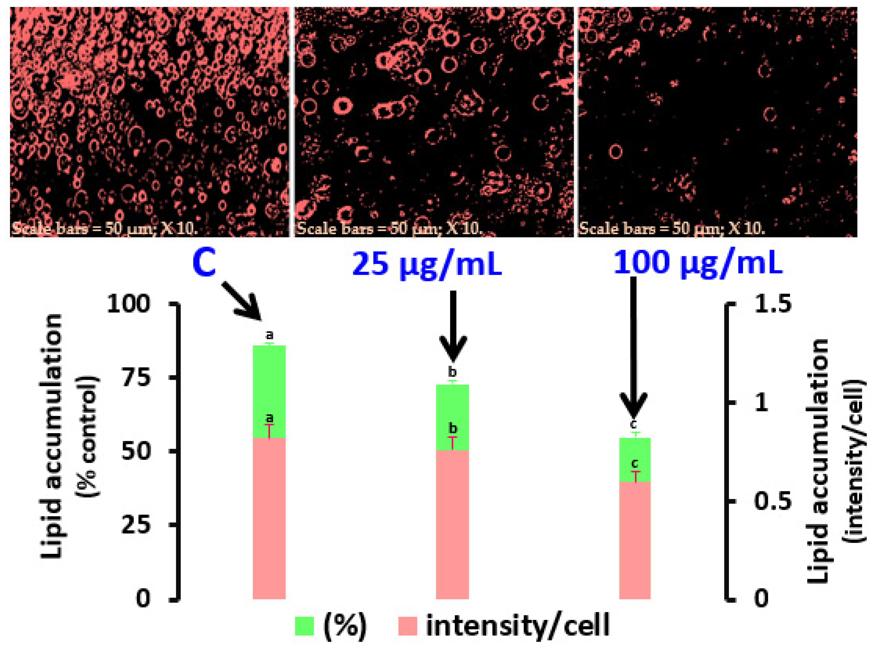 Applsci 13 12533 g004