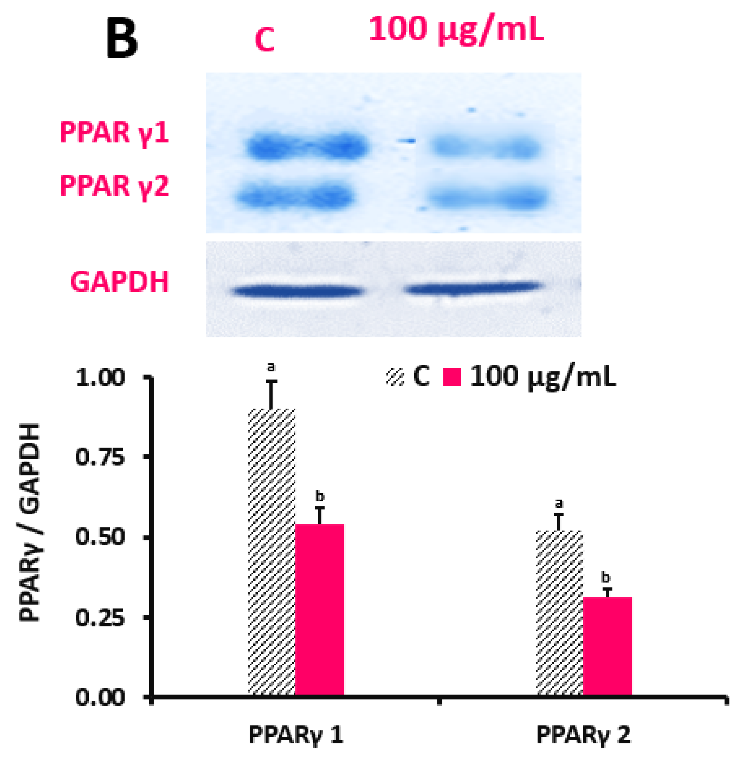 Applsci 13 12533 g005b
