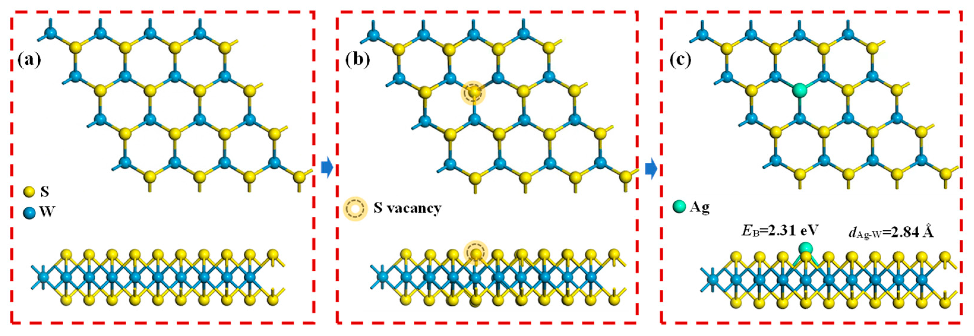 Applsci 13 12559 g001