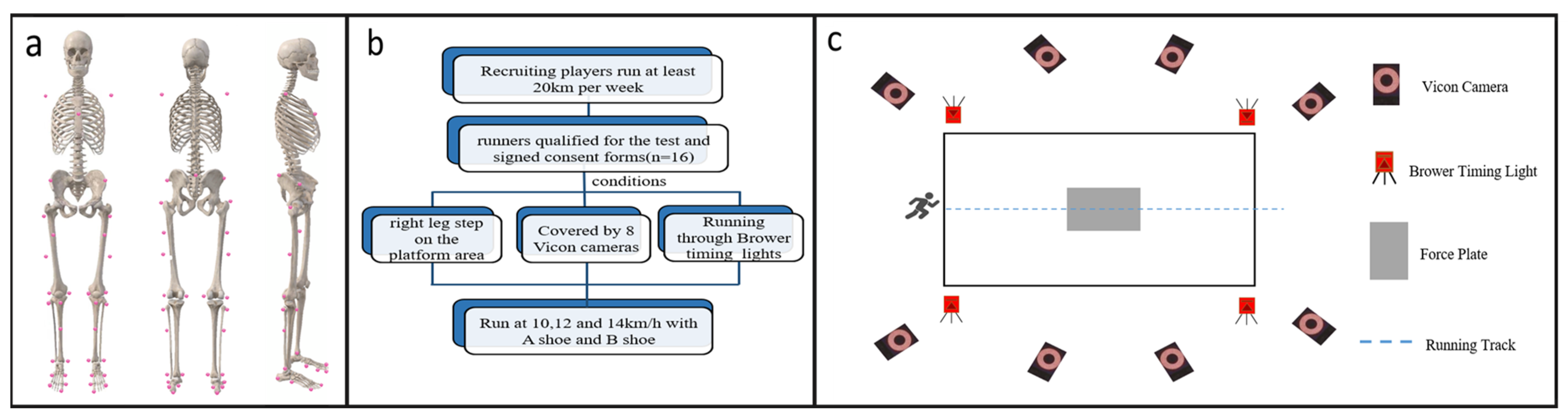 Applsci 13 12582 g002