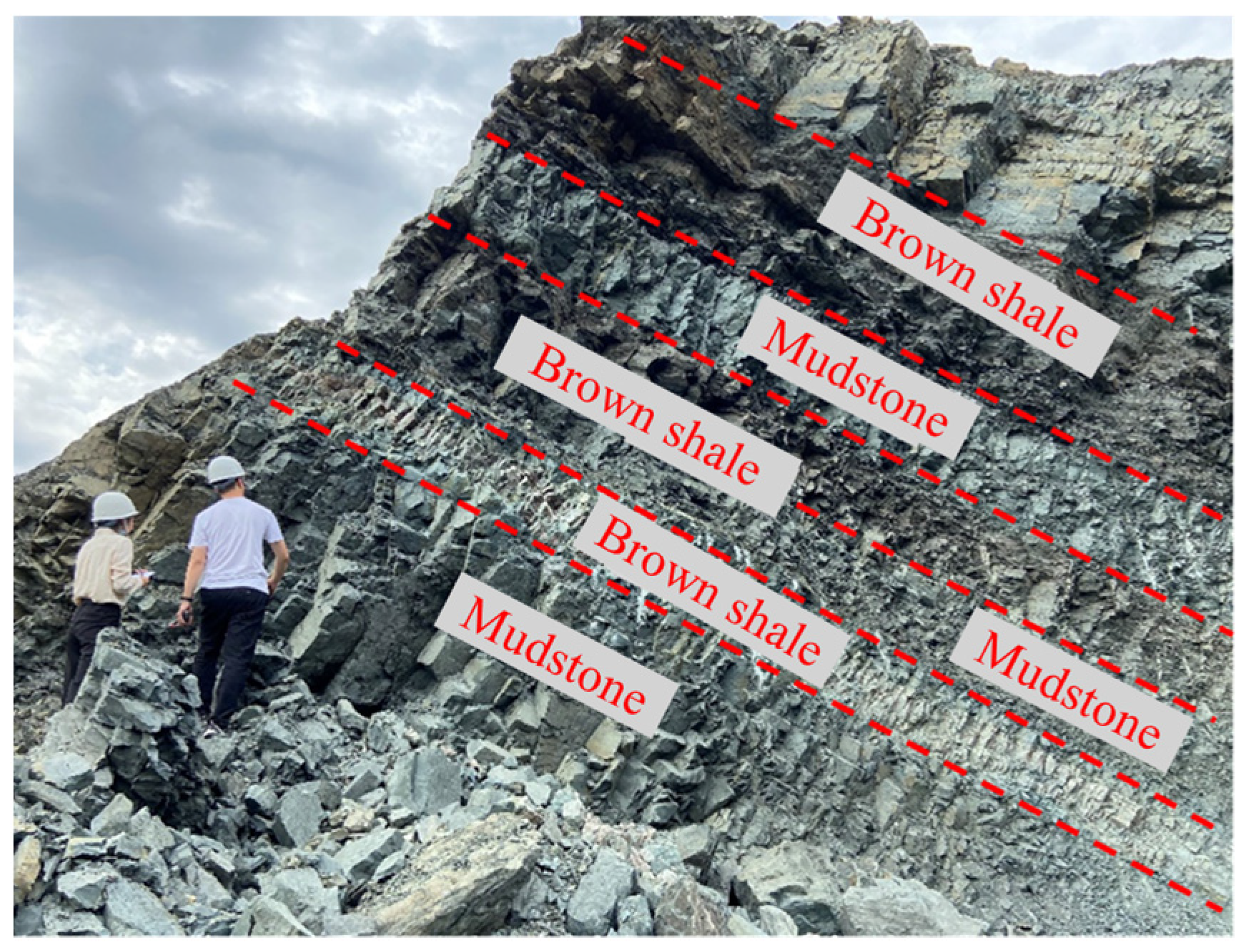 Numerical Analysis of Interbedded Anti-Dip Rock Slopes Based
