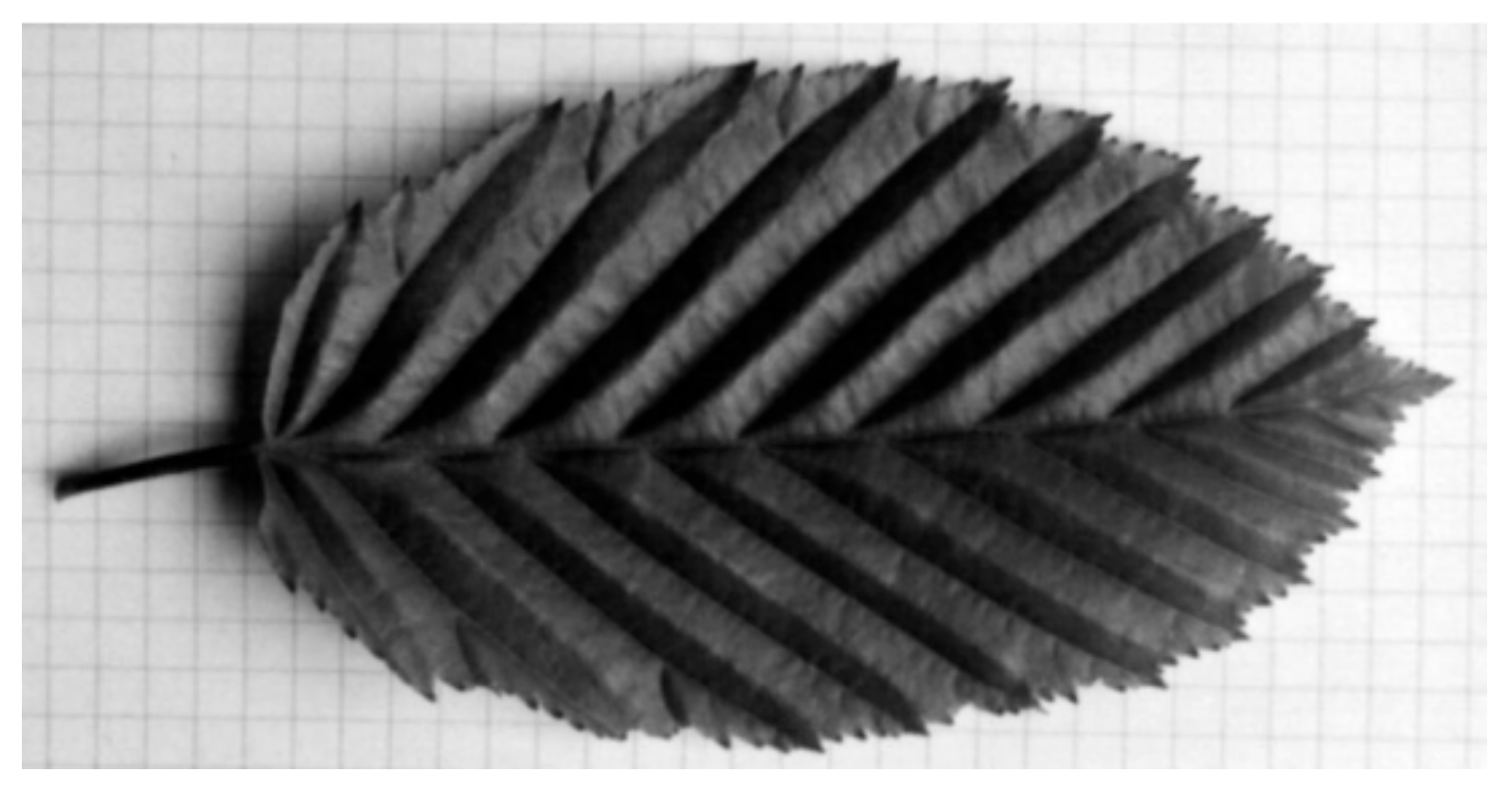 Applsci 13 12598 g001