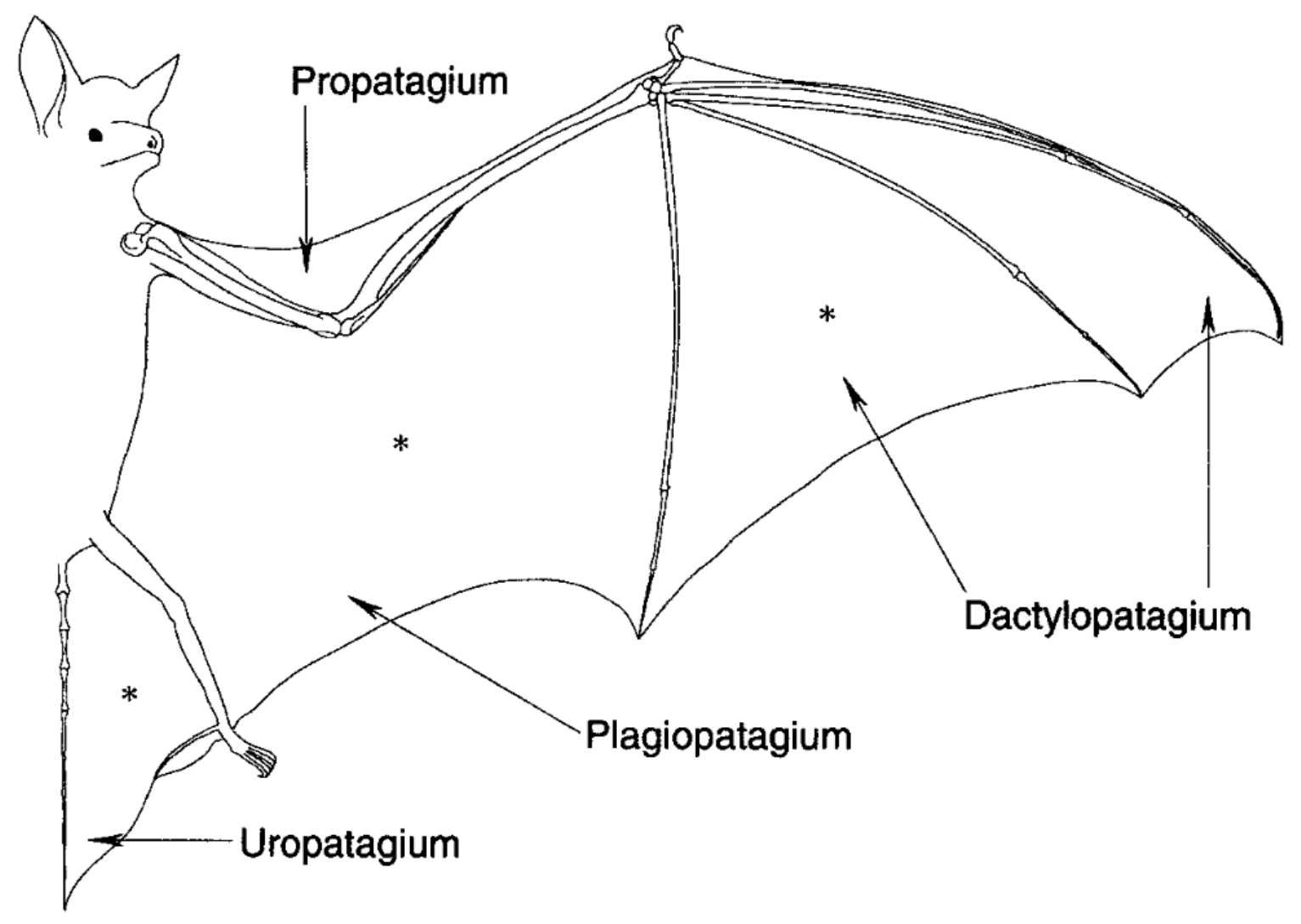 Applsci 13 12598 g003