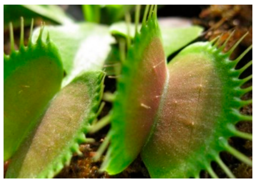 Applsci 13 12598 g004