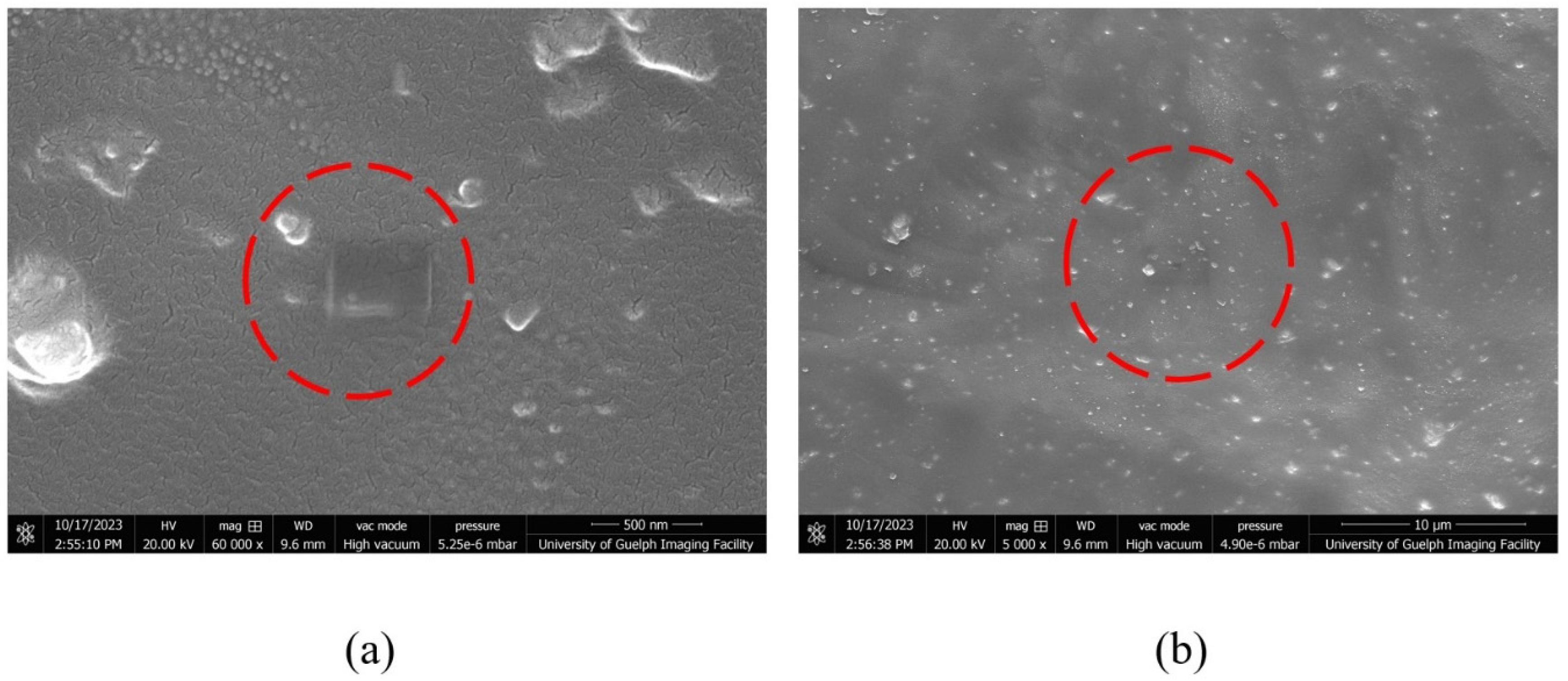 Applsci 13 12600 g014 Applsci 13 12600 g014