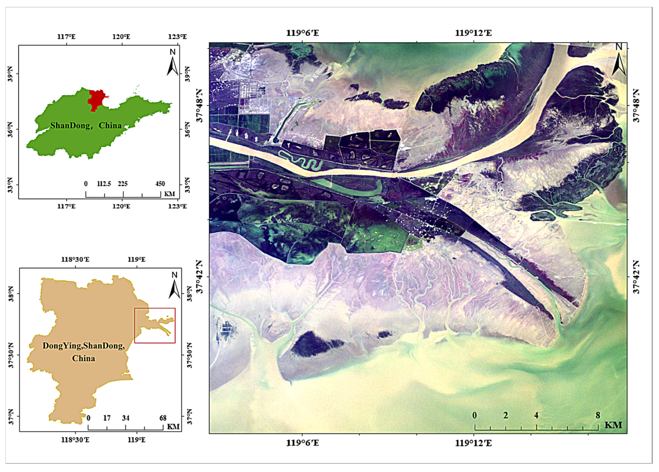 Applsci 13 12614 g001