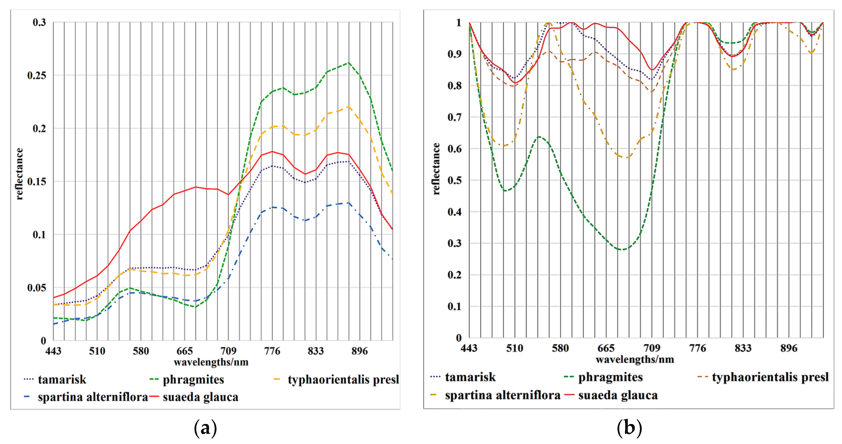 Applsci 13 12614 g003