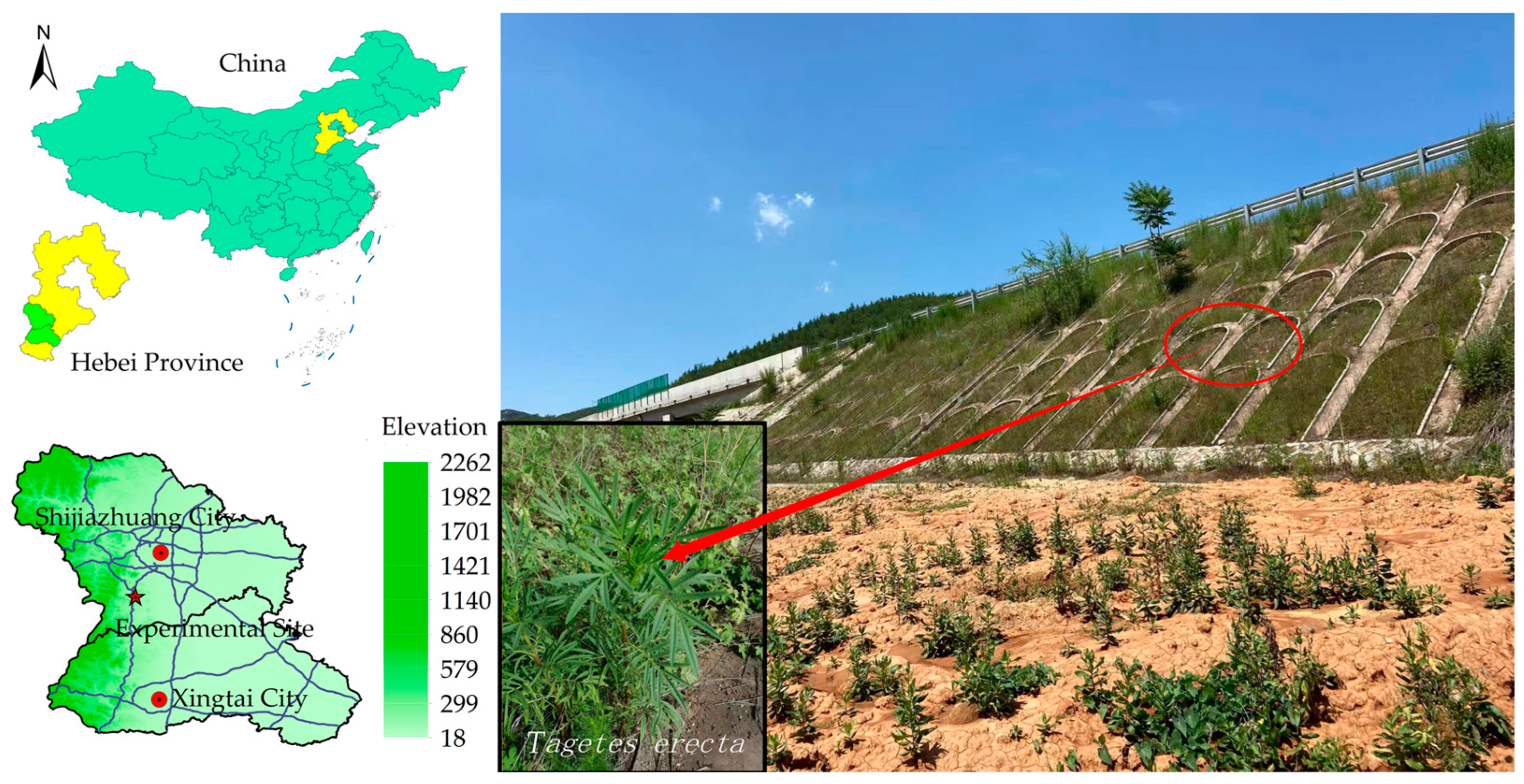 Applsci 13 12632 g002