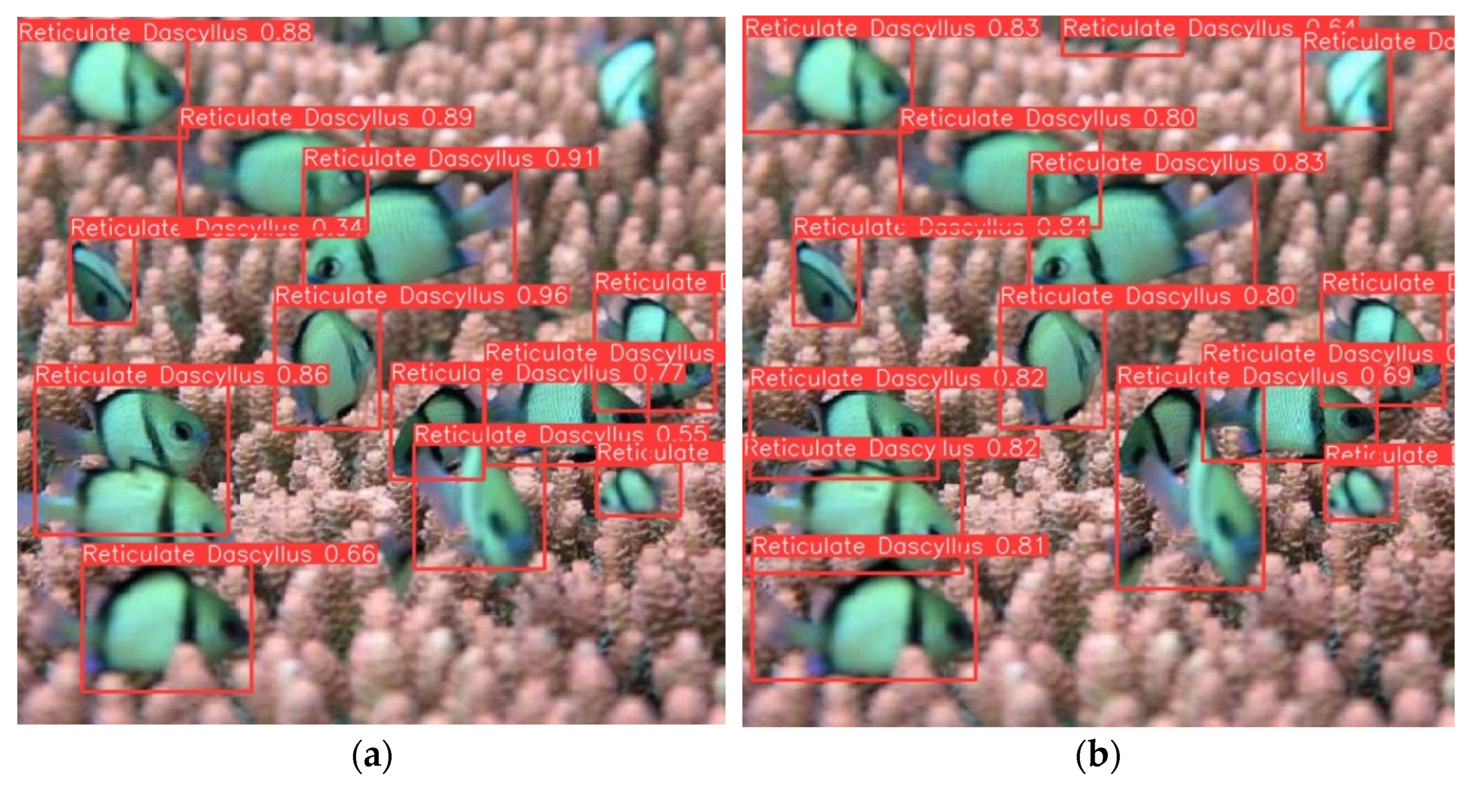 Applsci 13 12645 g010