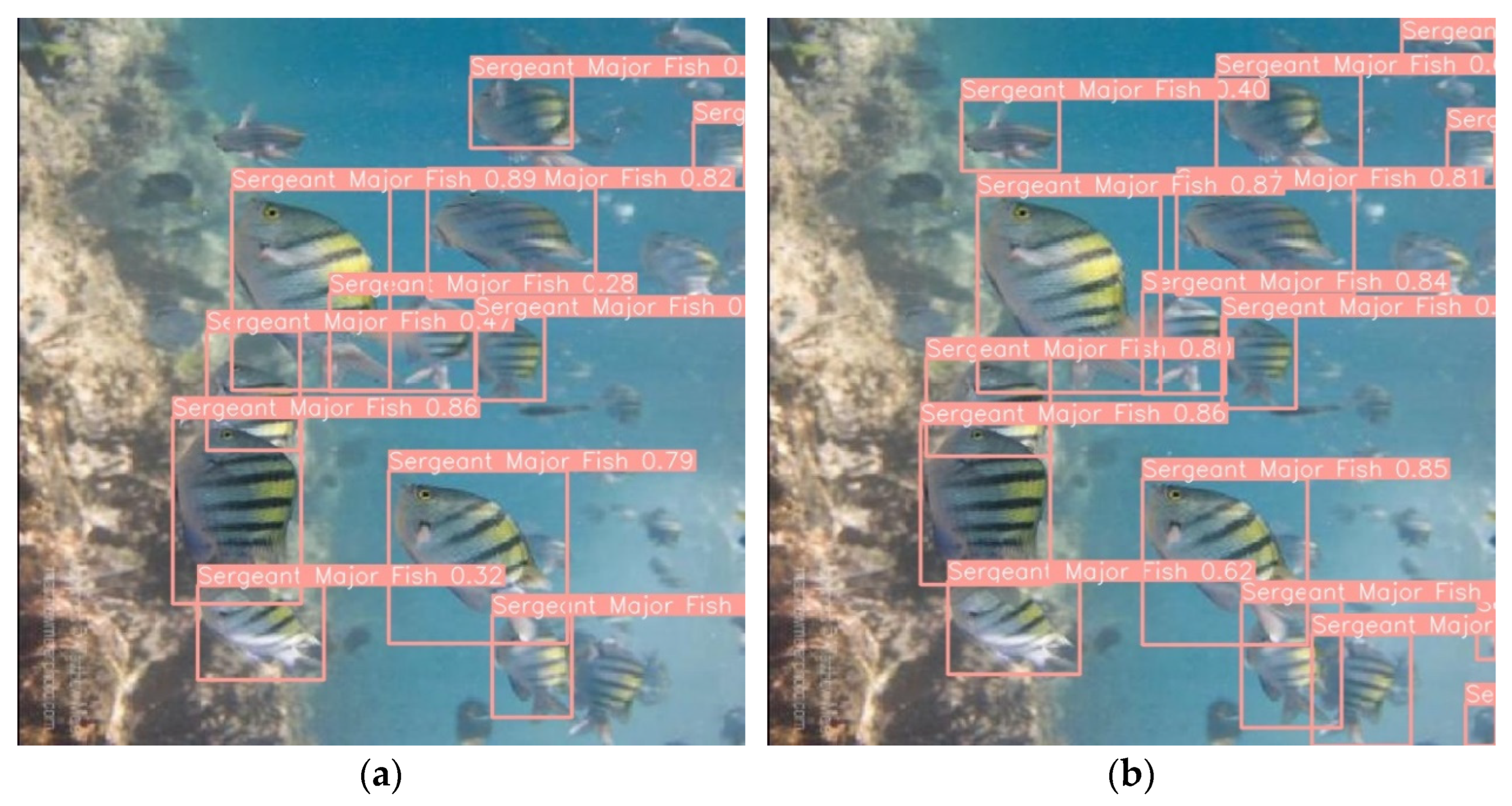 Applsci 13 12645 g011