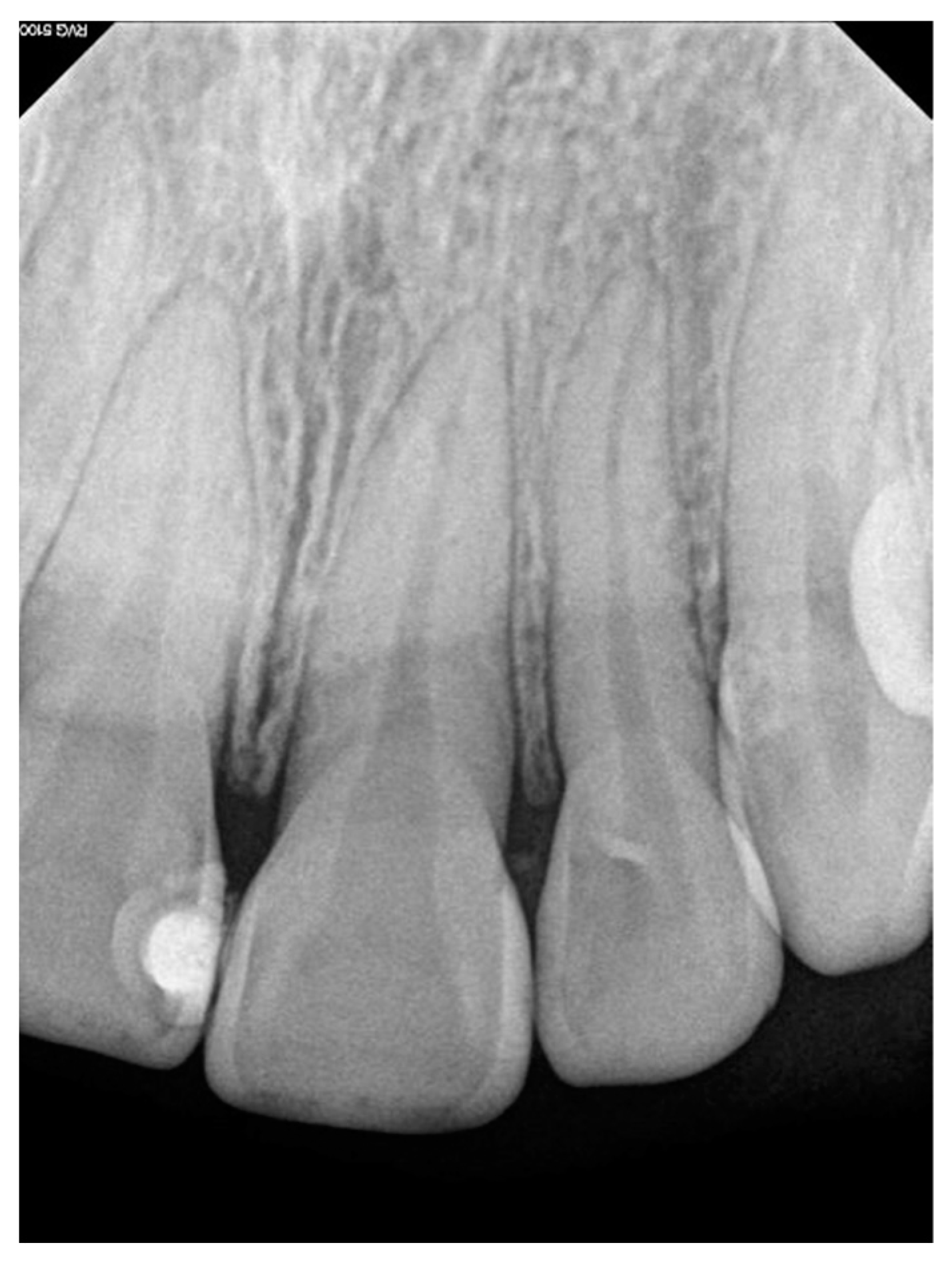 Applsci 13 12688 g002