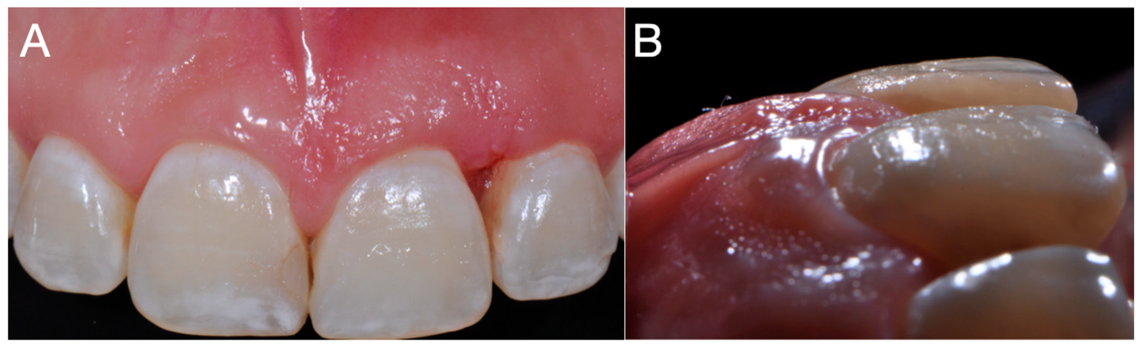 Applsci 13 12688 g003