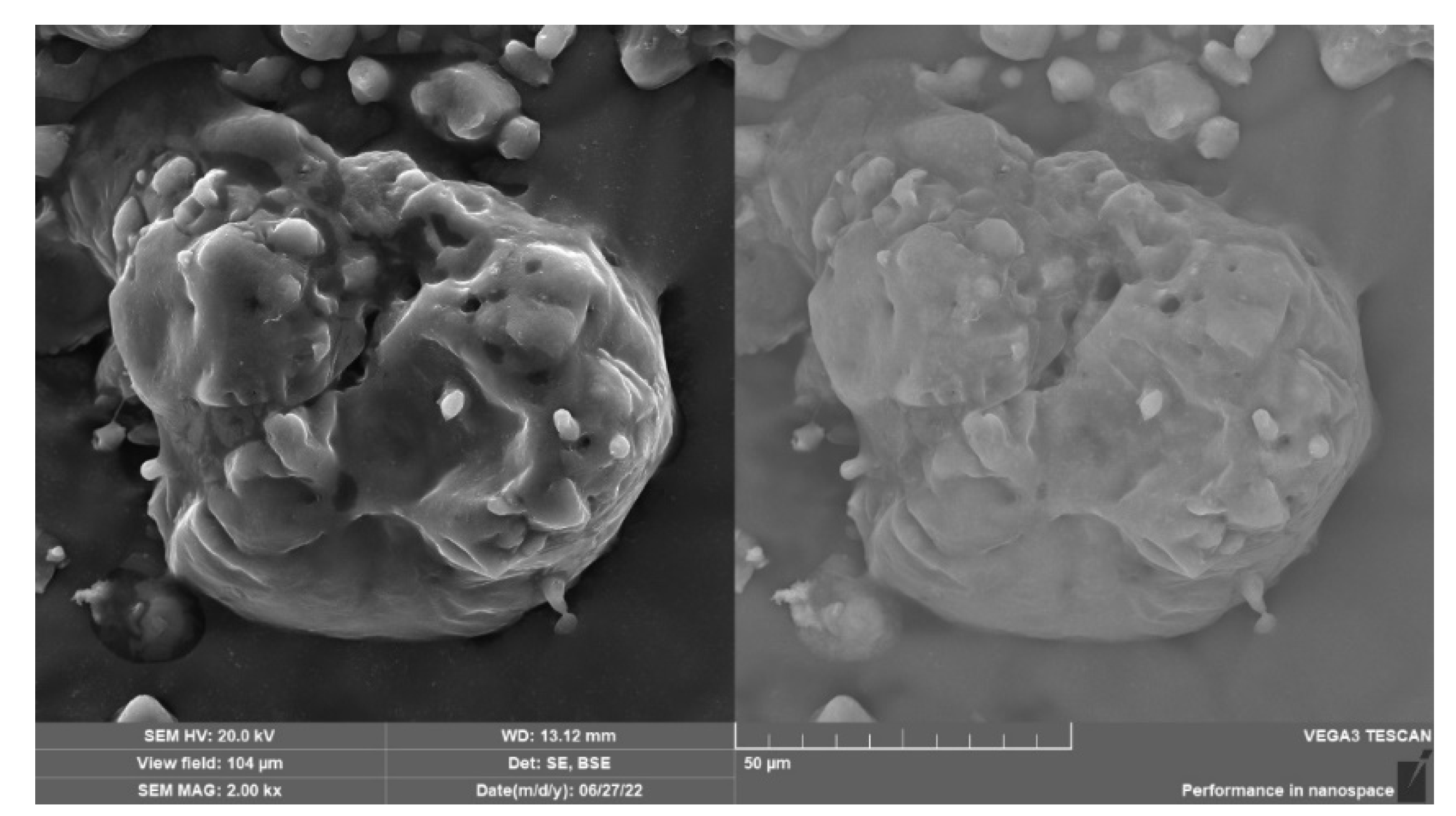 Applsci 13 12700 g003