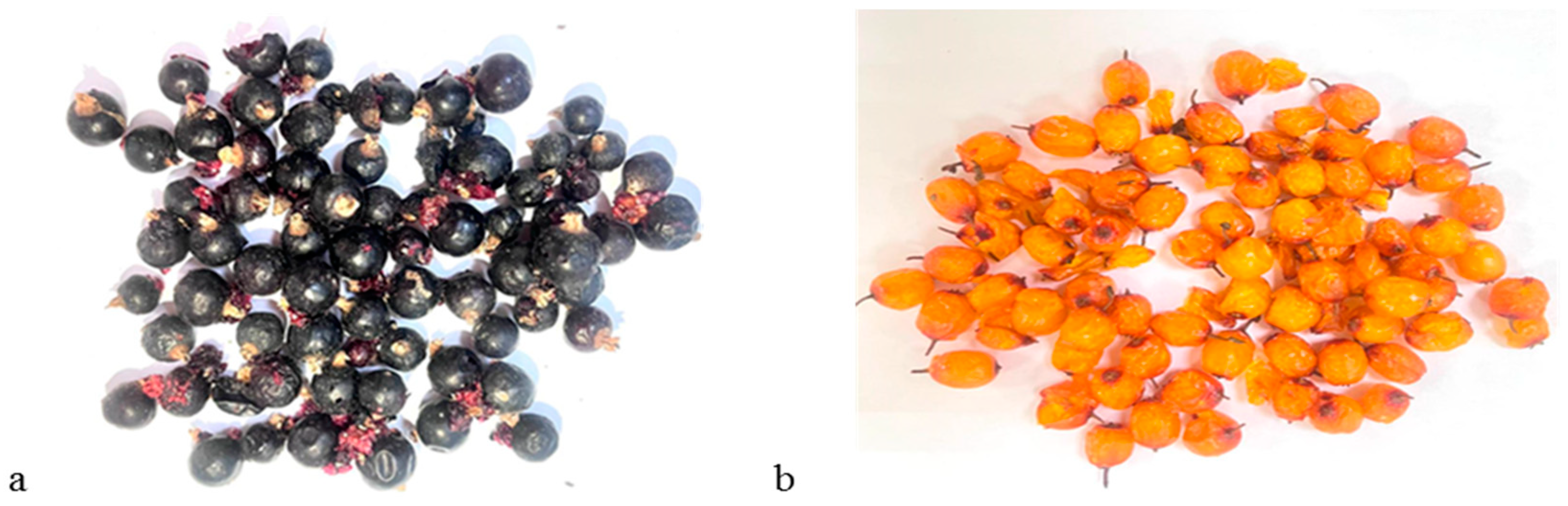 Applsci 13 12709 g002