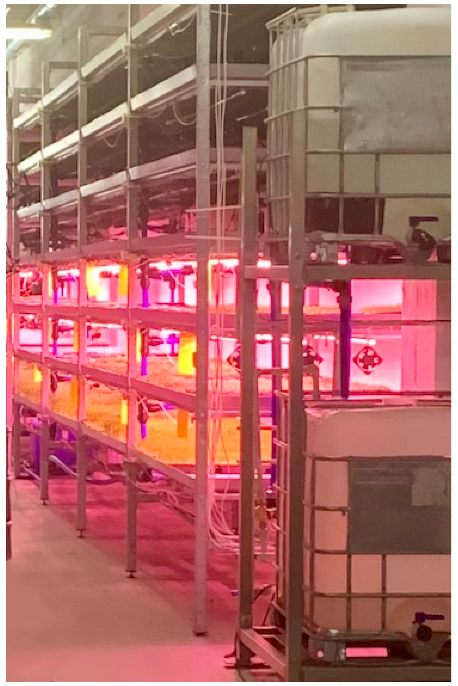 Applsci 13 12718 g006