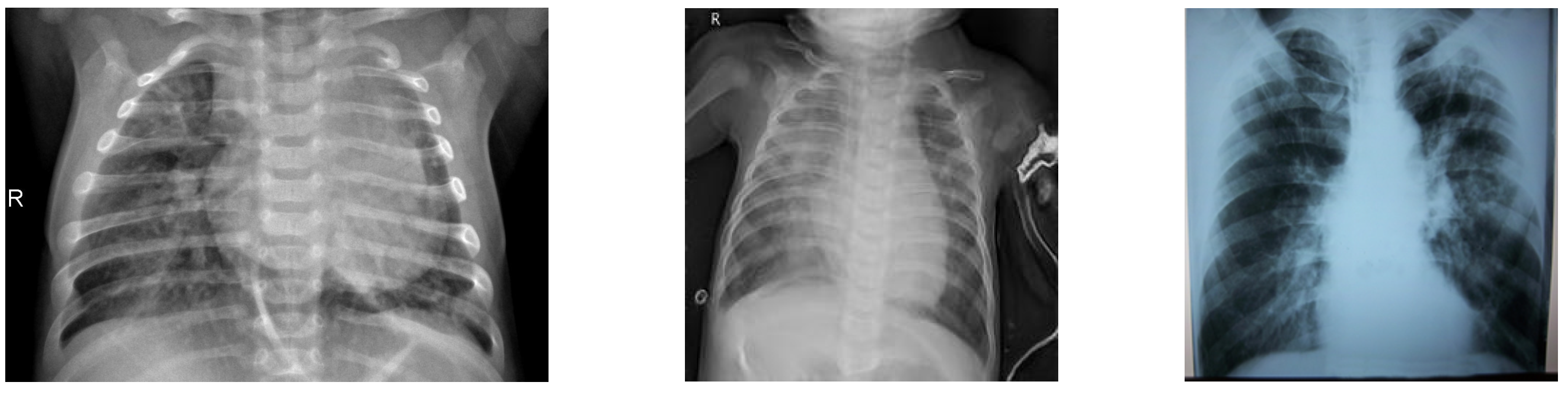 Applsci 13 12725 g001