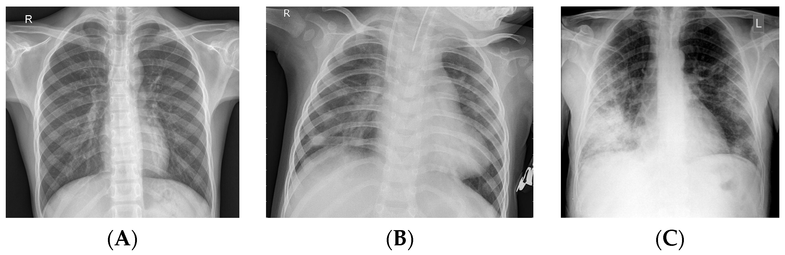 Applsci 13 12725 g002