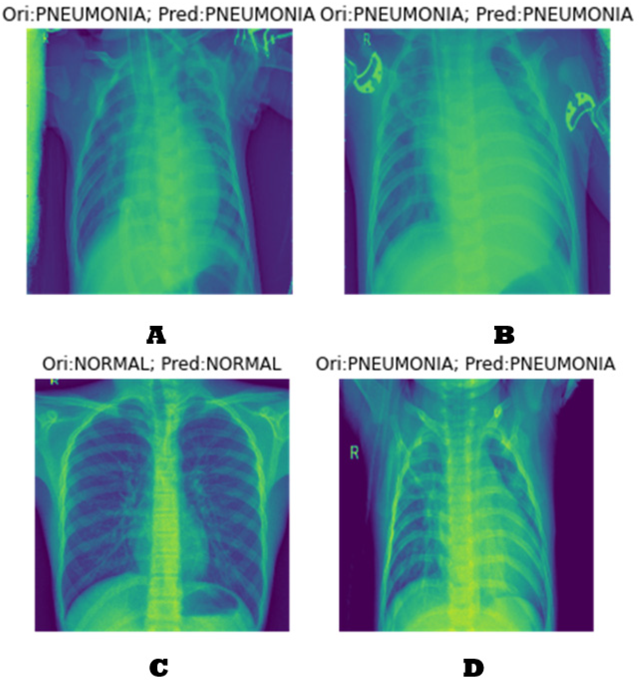 Applsci 13 12725 g009