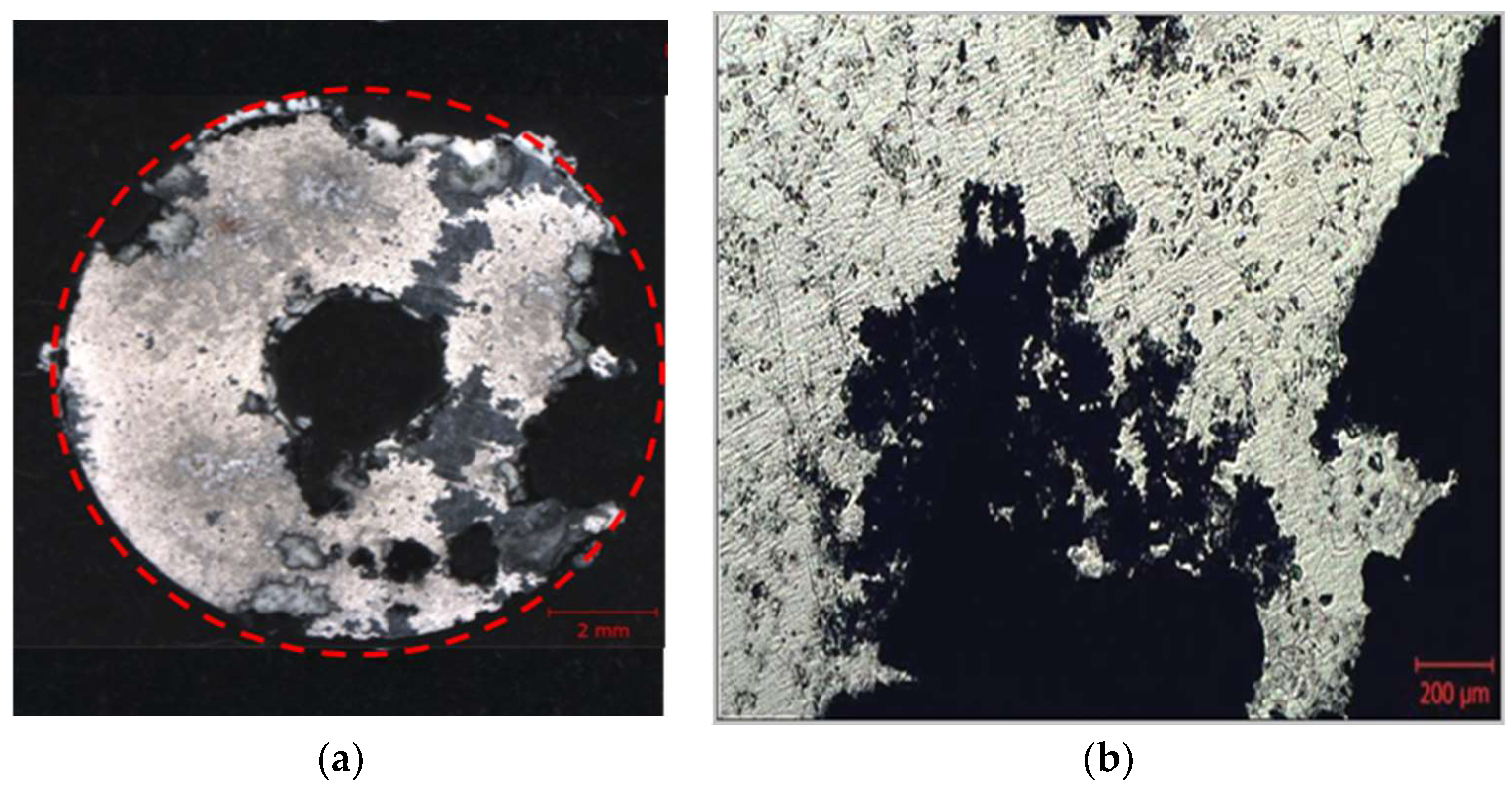 Applsci 13 12736 g005