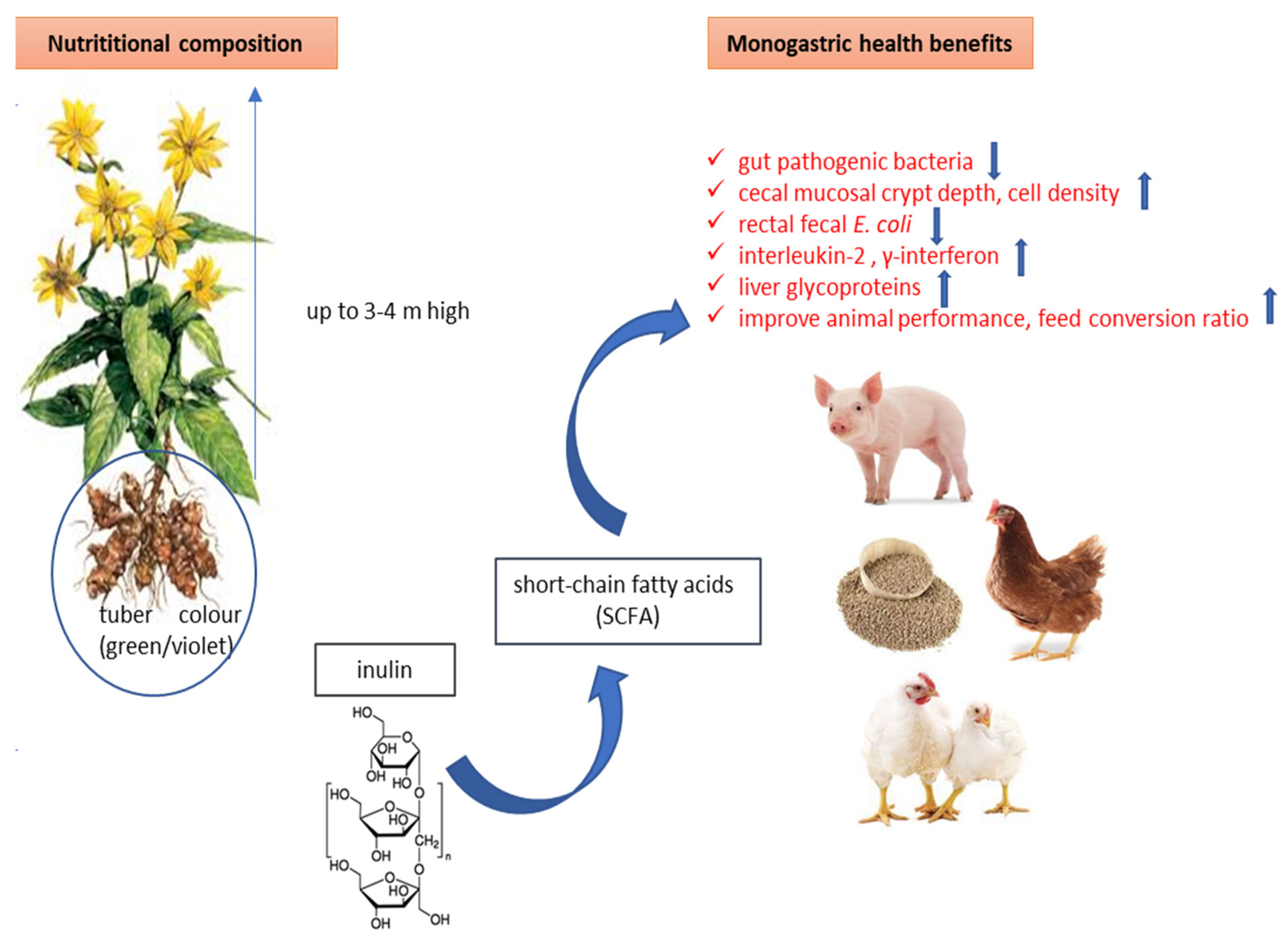 Applsci 13 12748 g002 Applsci 13 12748 g002